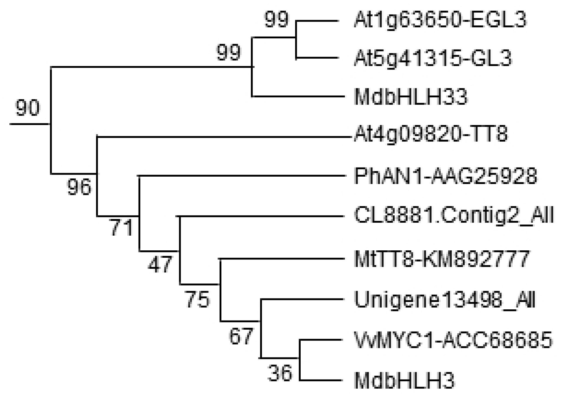 Forests 14 01262 g001