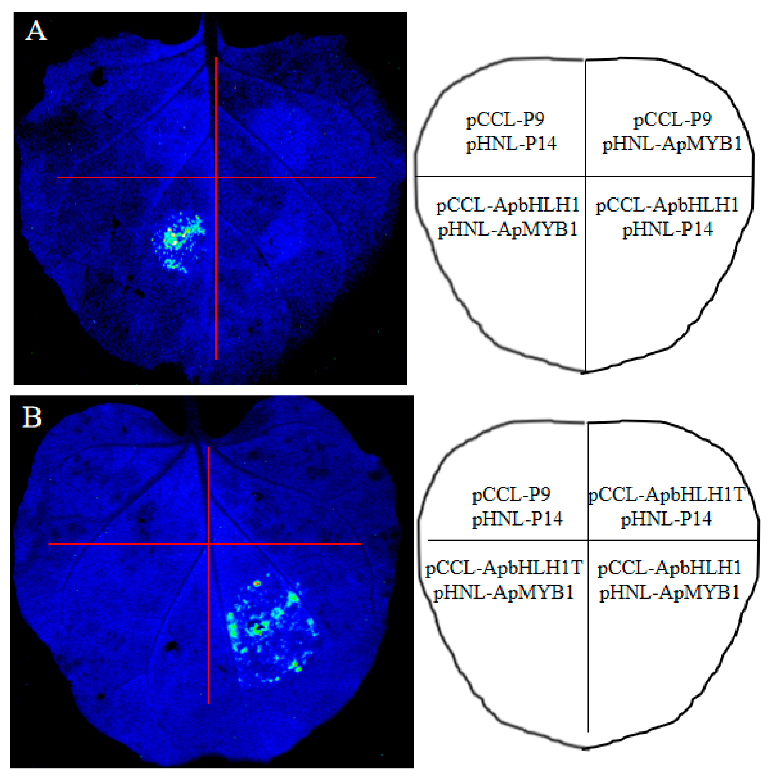 Forests 14 01262 g005a