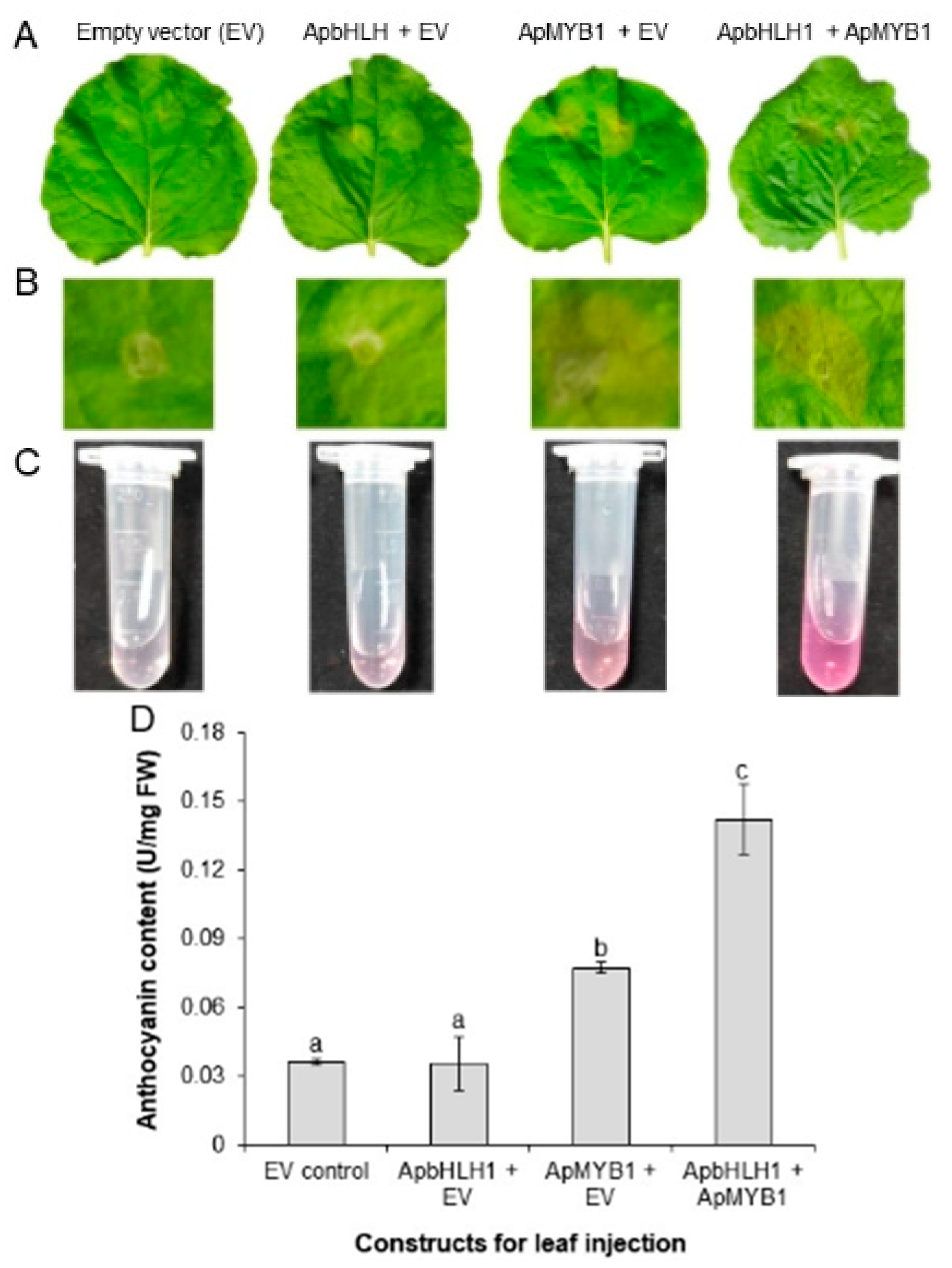 Forests 14 01262 g006