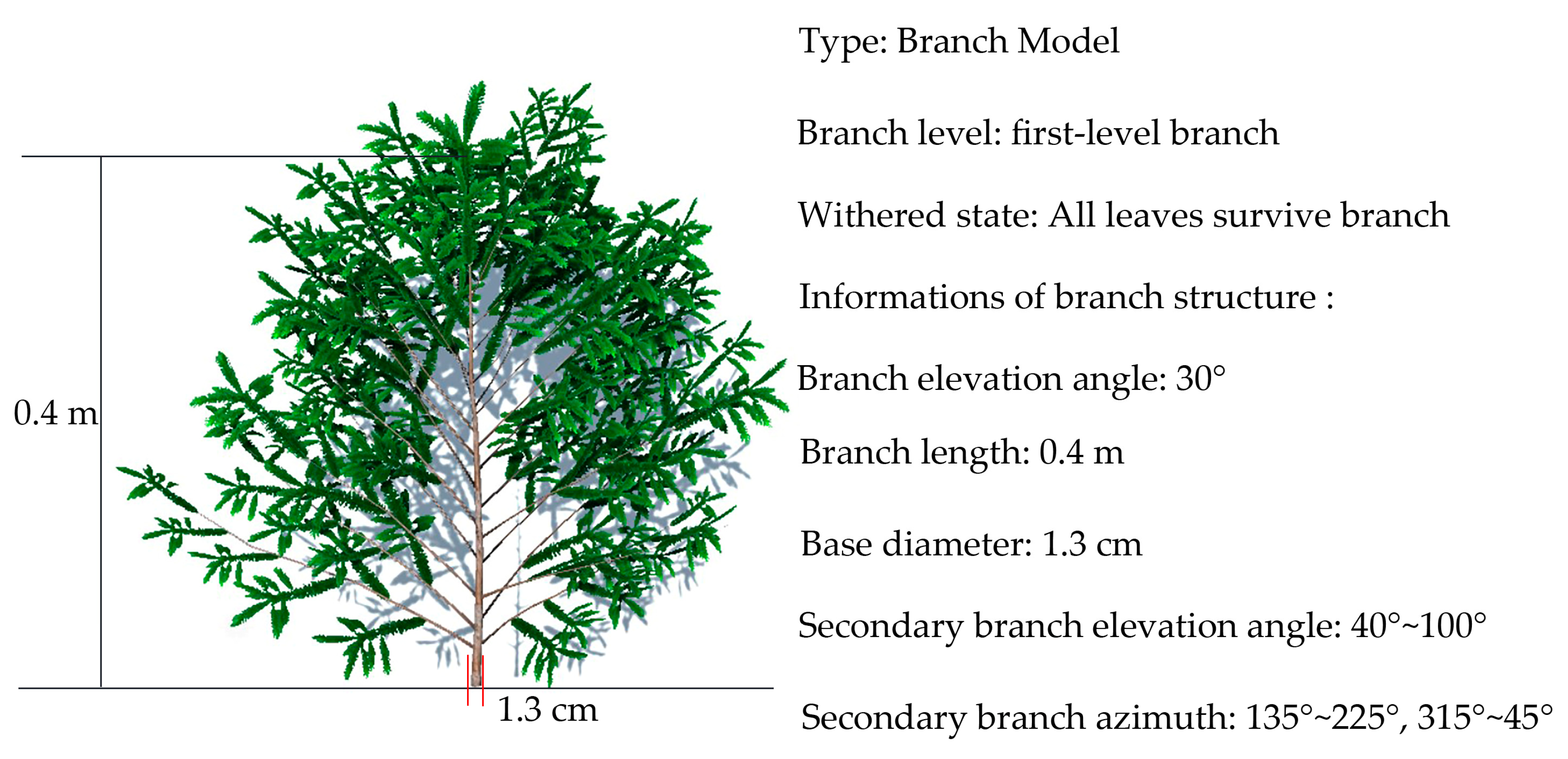 Forests 14 01267 g011