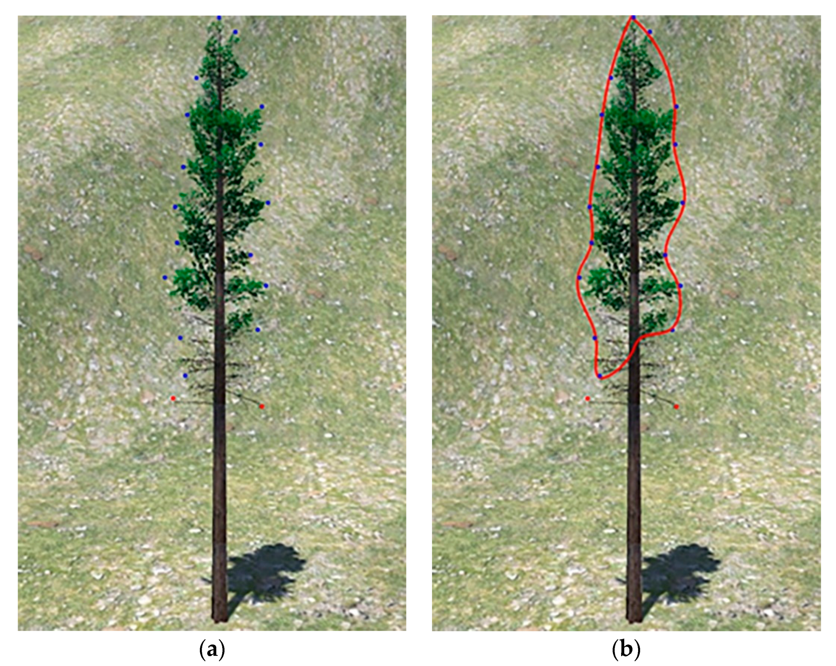 Forests 14 01267 g013