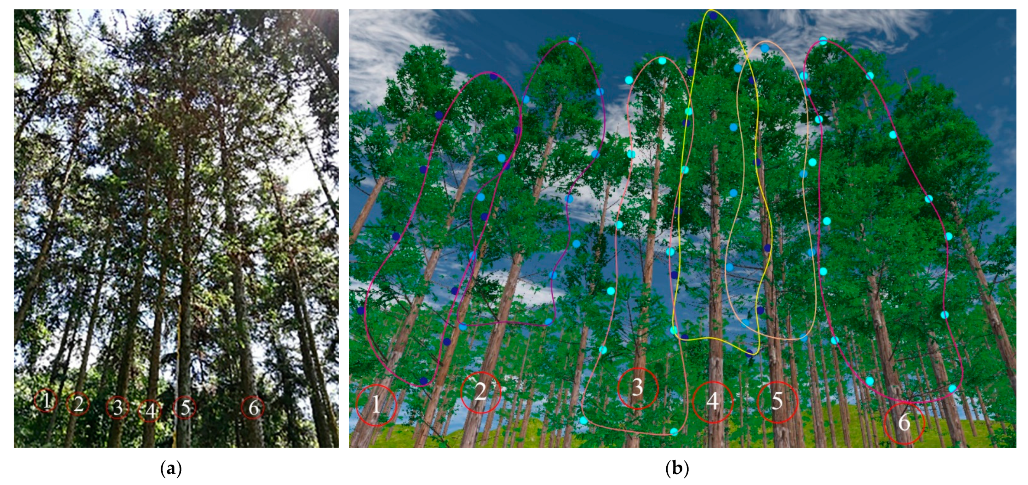 Forests 14 01267 g015