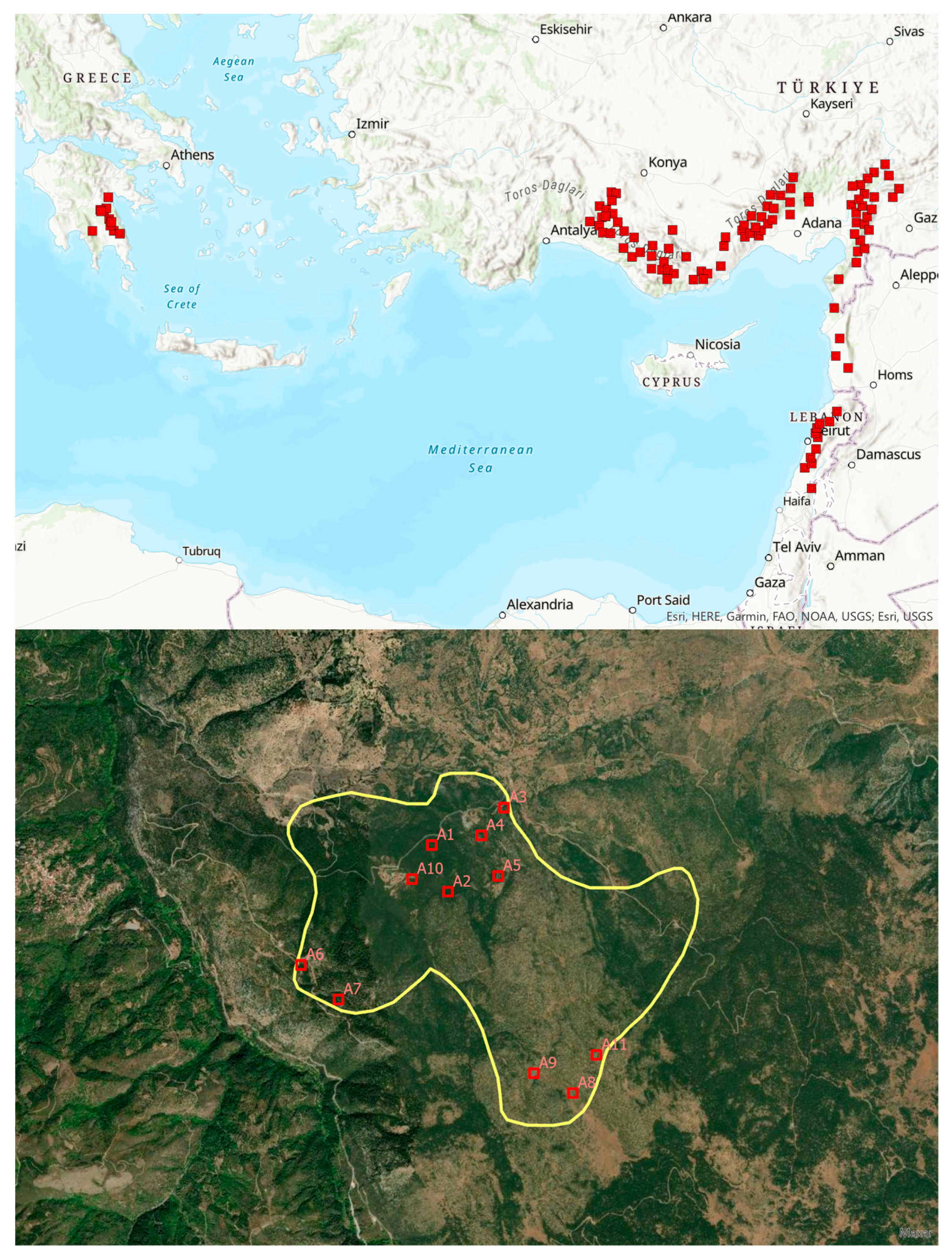 Forests 14 01271 g001 Forests 14 01271 g001