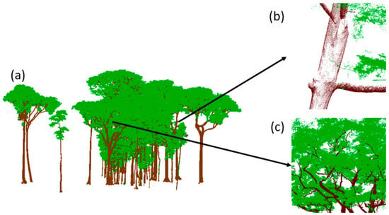 Forests | Free Full-Text | LWSNet: A Point-Based Segmentation Network ...