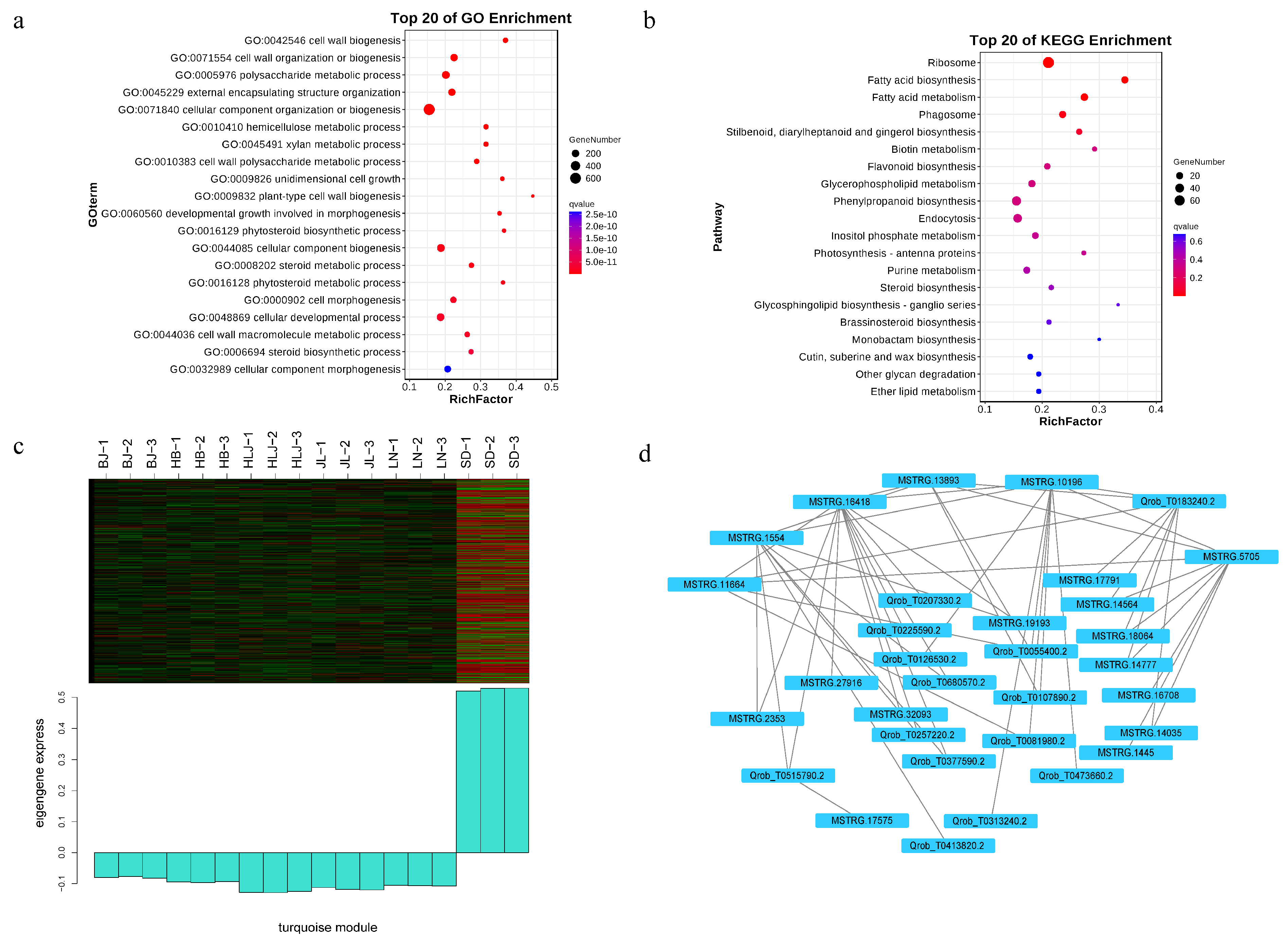 Forests 14 01313 g010