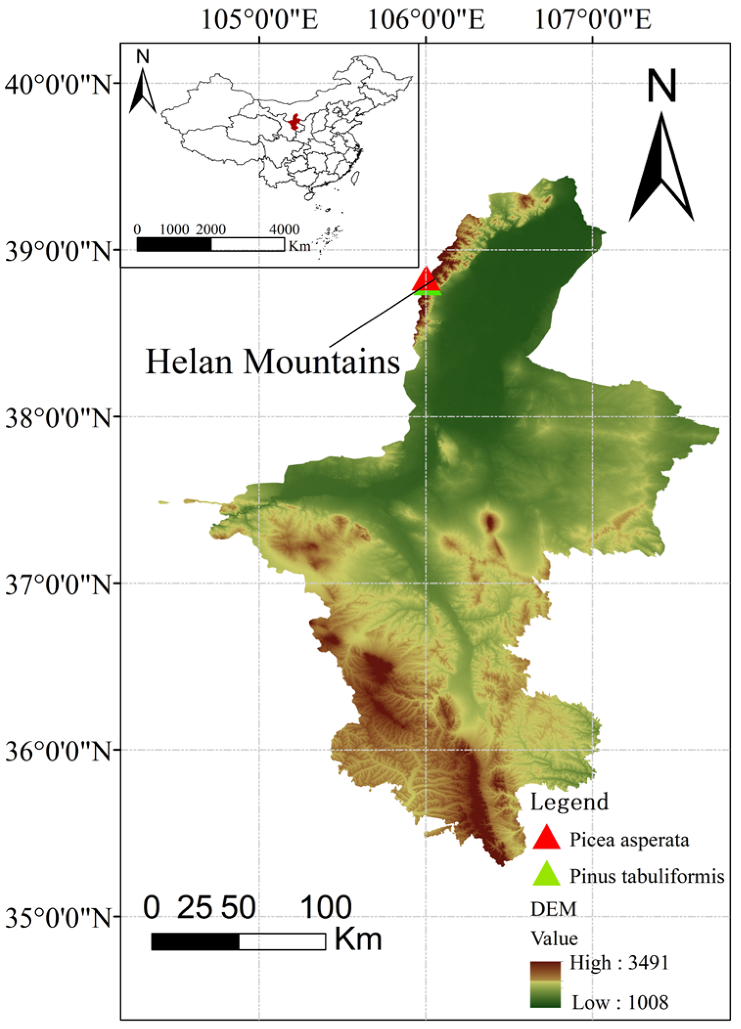 Forests 14 01336 g001 Forests 14 01336 g001