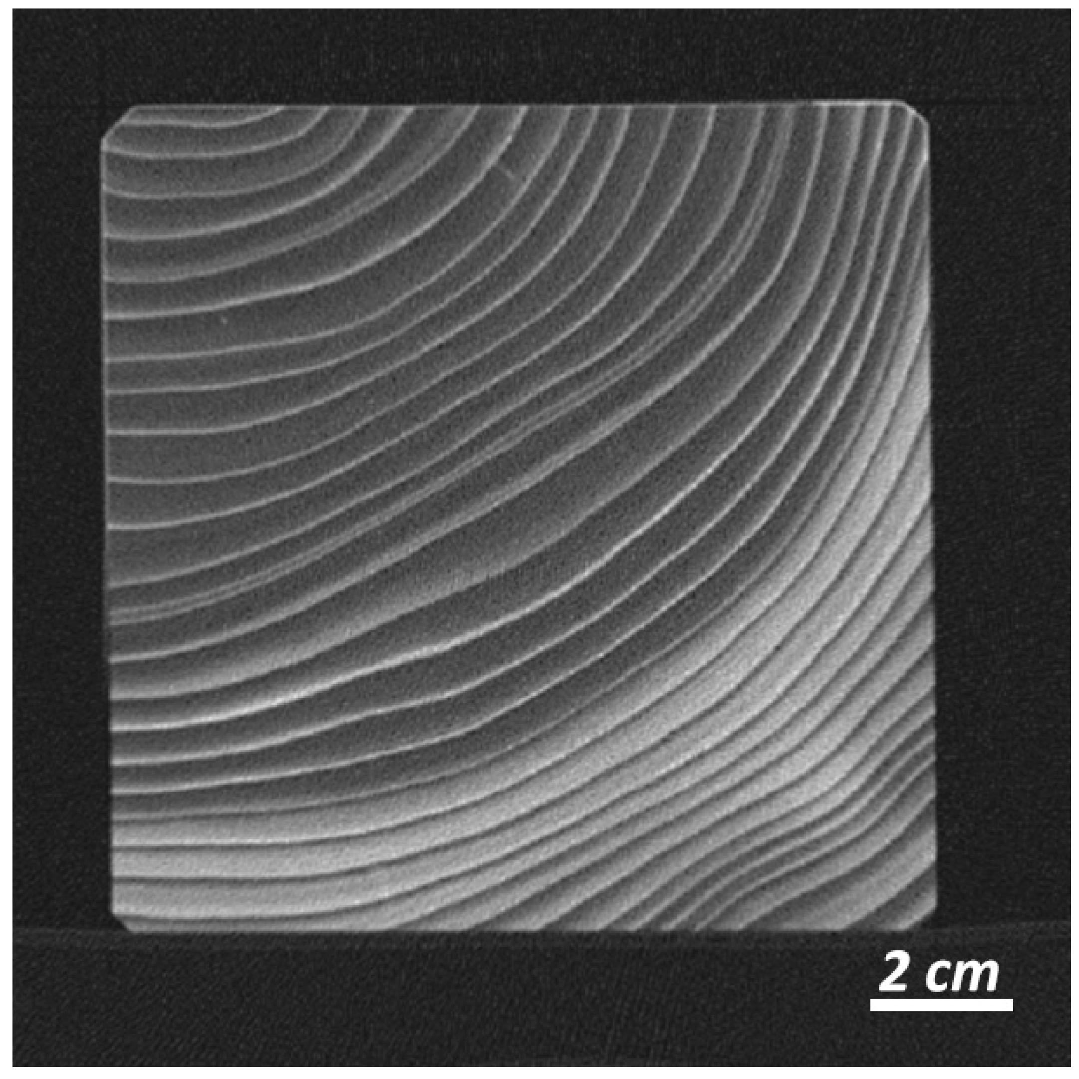 Forests 14 01342 g002 Forests 14 01342 g002