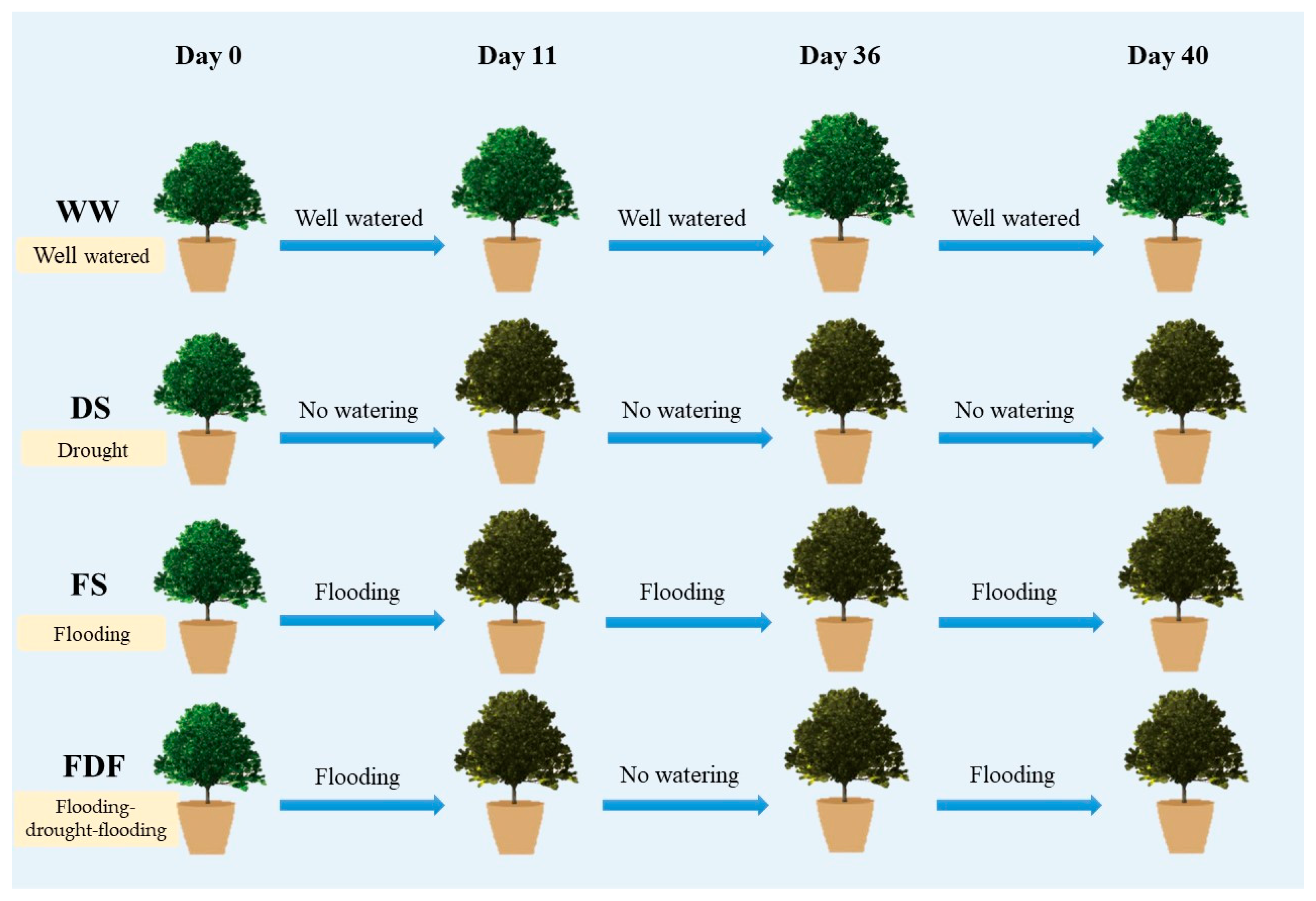 Forests 14 01343 g001