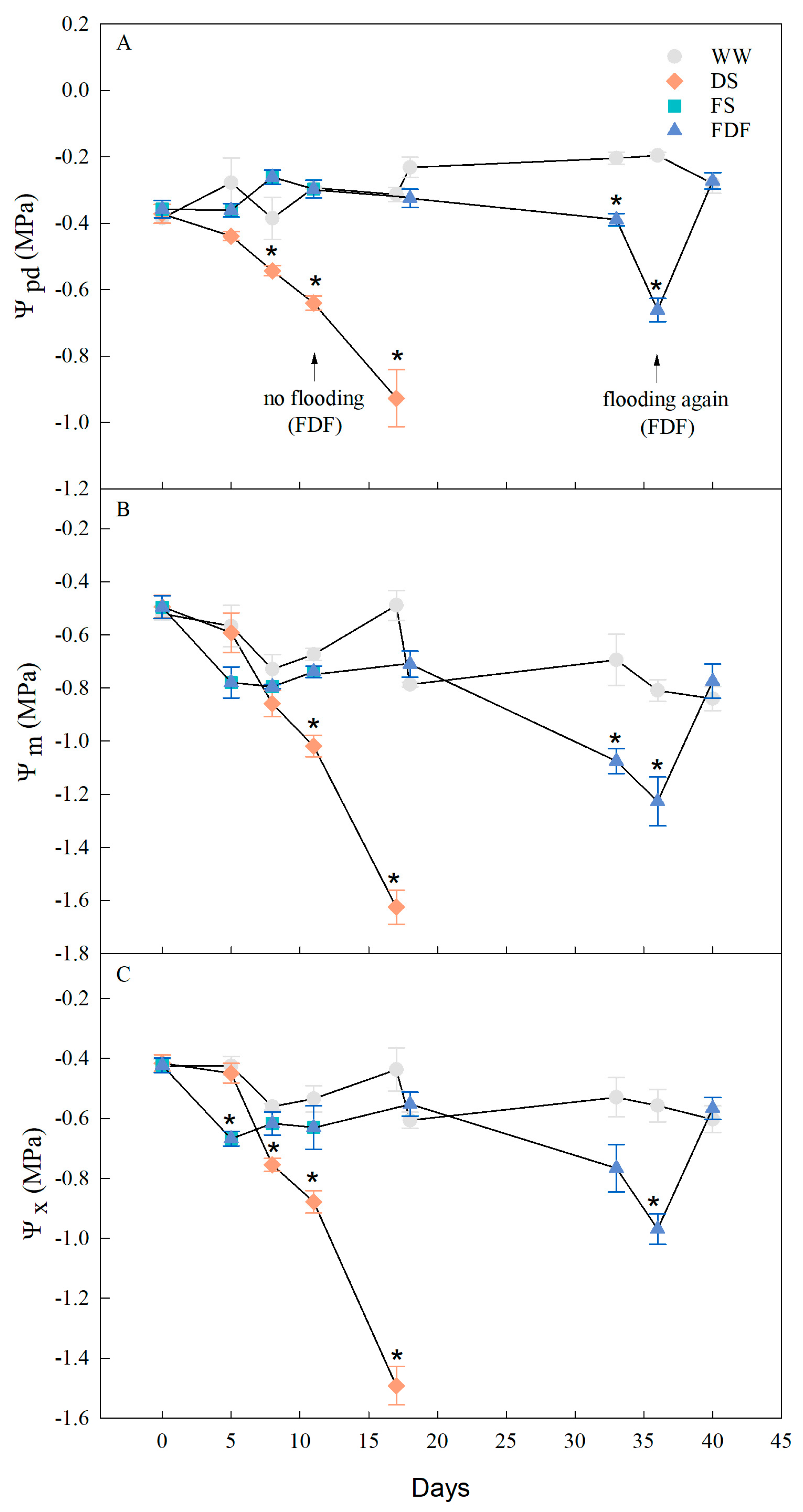 Forests 14 01343 g002