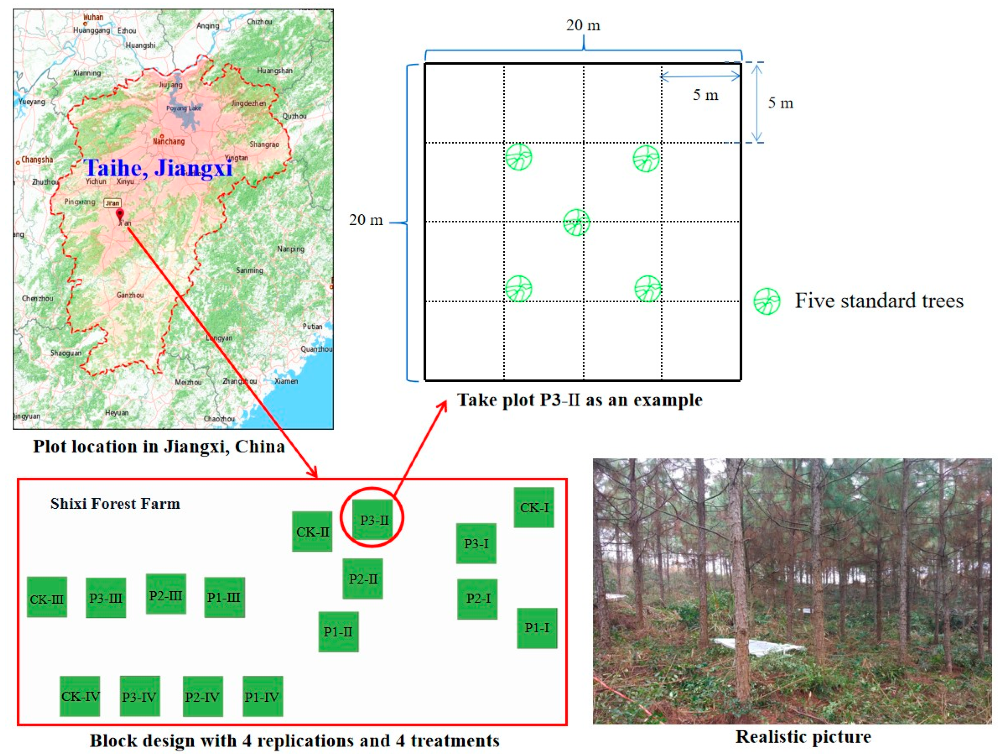 Forests 14 01355 g001 Forests 14 01355 g001