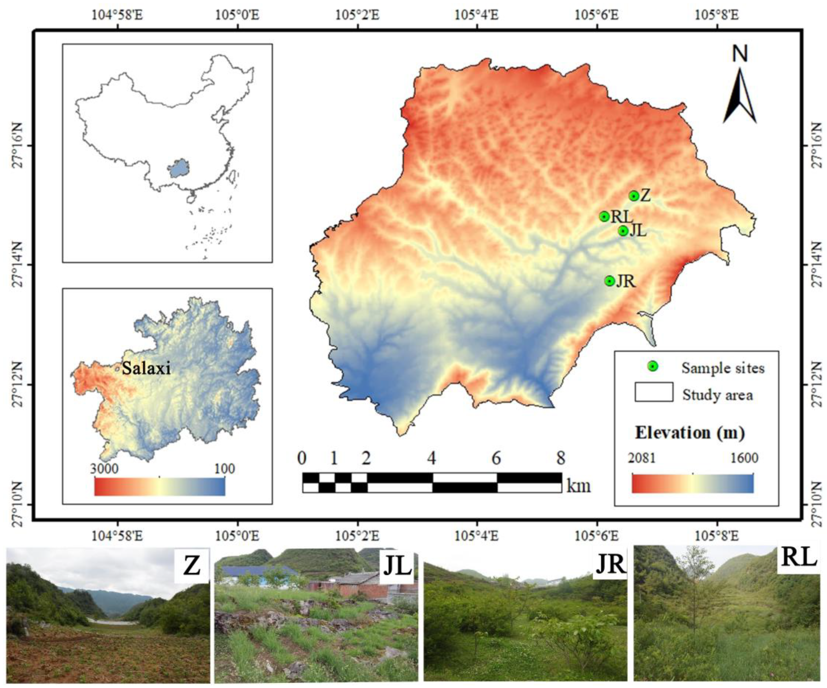 Forests 14 01356 g001 Forests 14 01356 g001