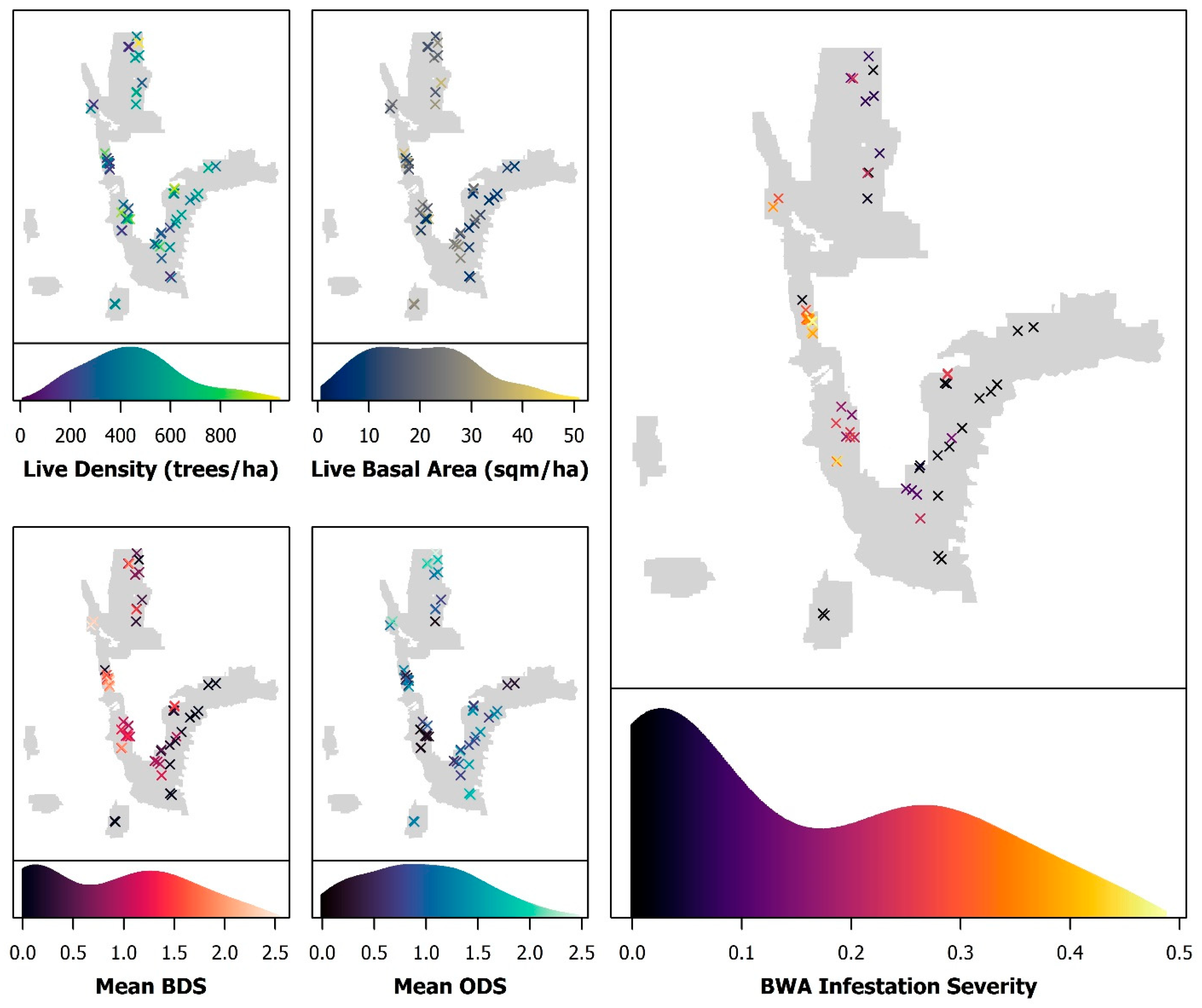 Forests 14 01357 g004 Forests 14 01357 g004