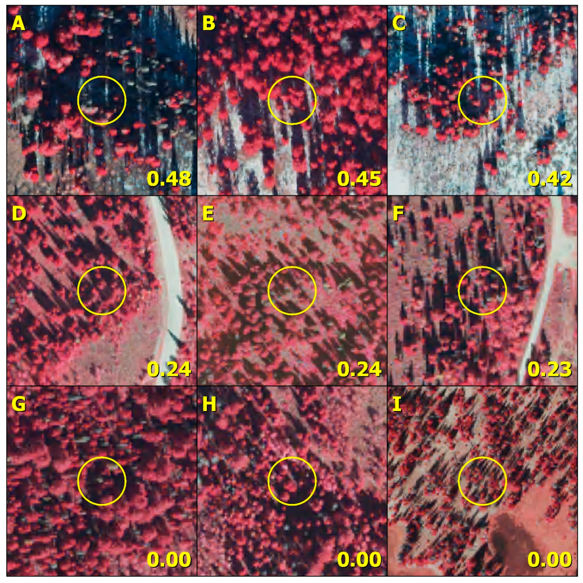 Forests 14 01357 g005 Forests 14 01357 g005