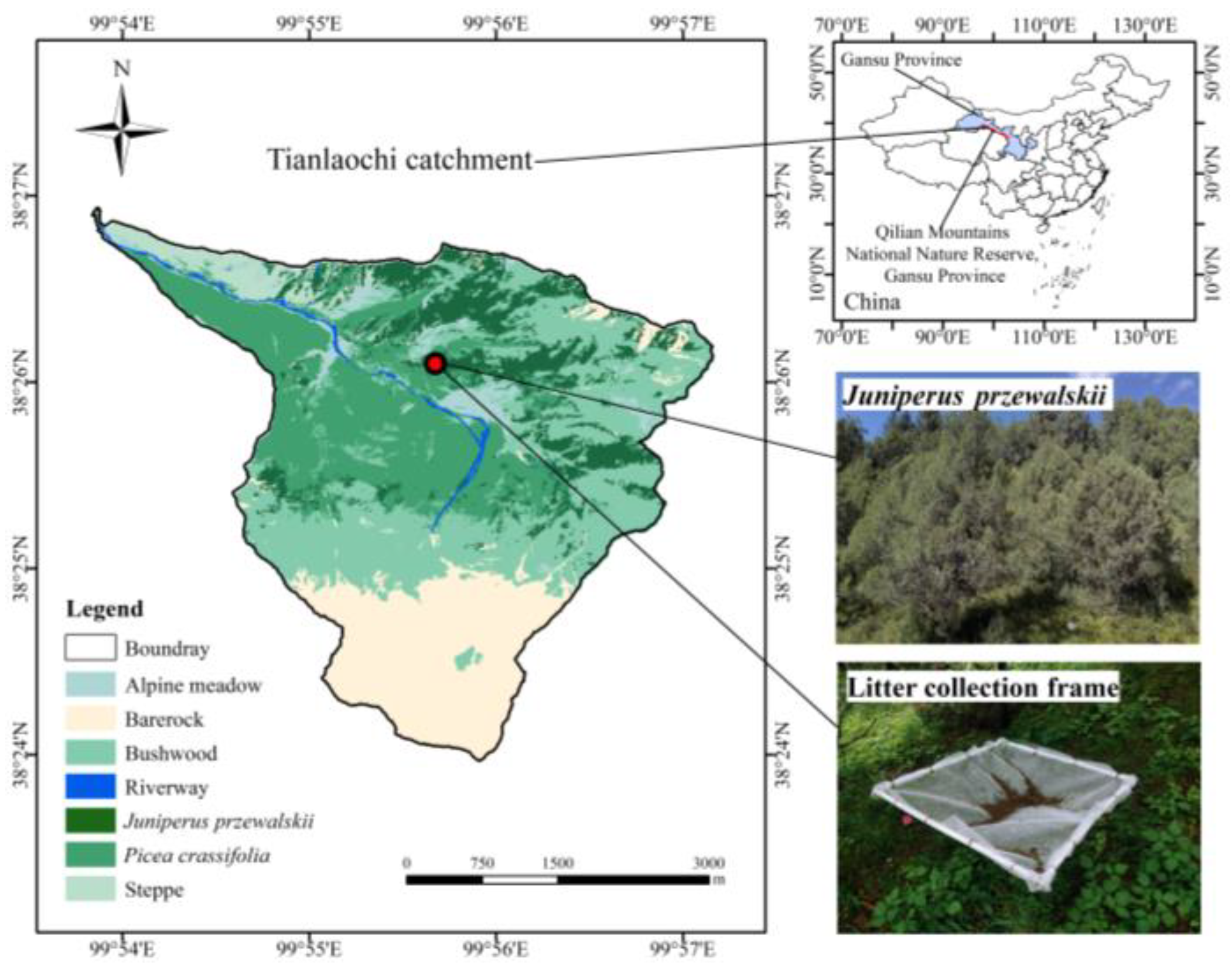 Forests 14 01364 g001