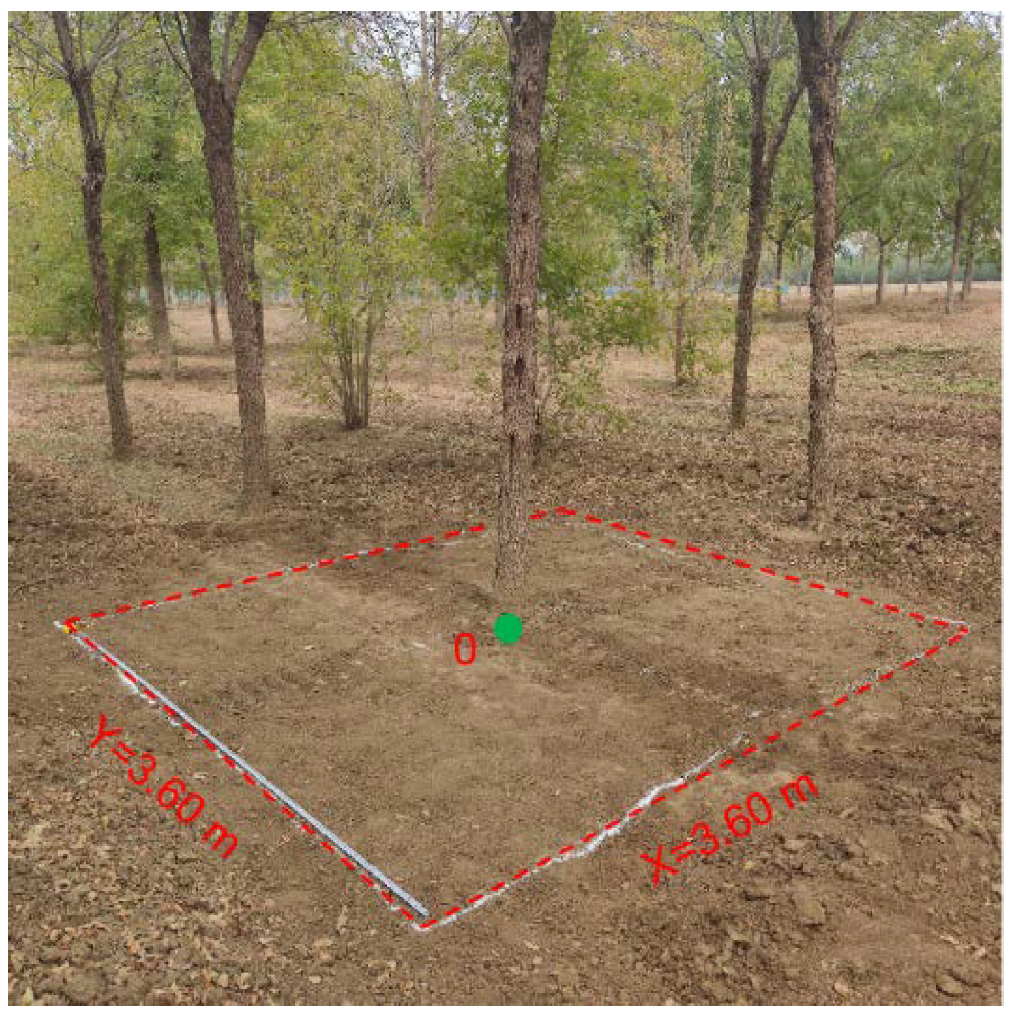 Forests 14 01370 g010
