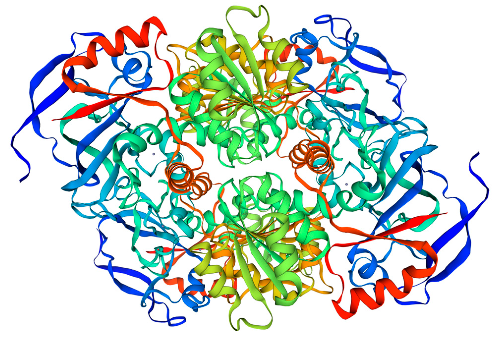 Forests 14 01379 g002