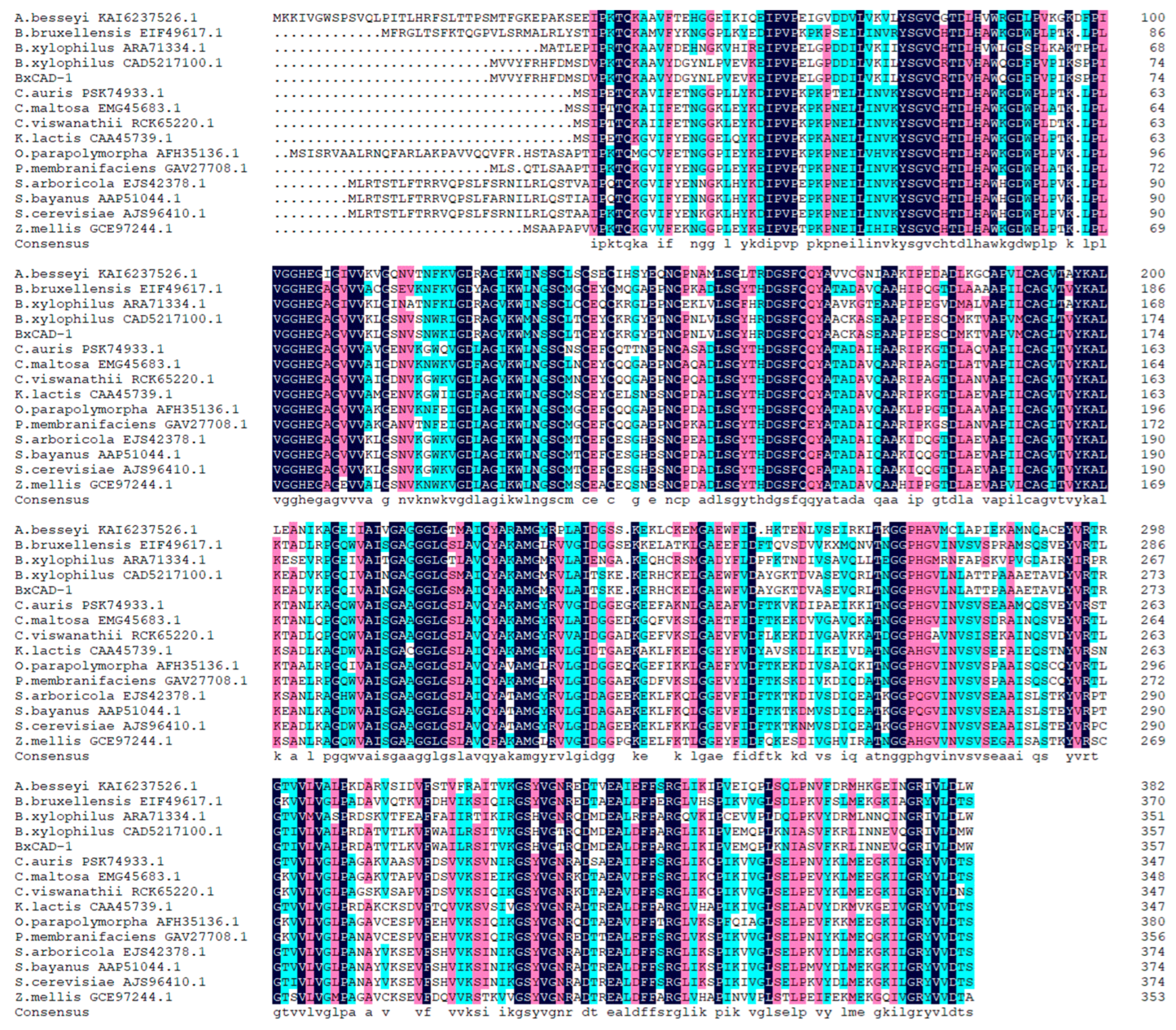 Forests 14 01379 g003