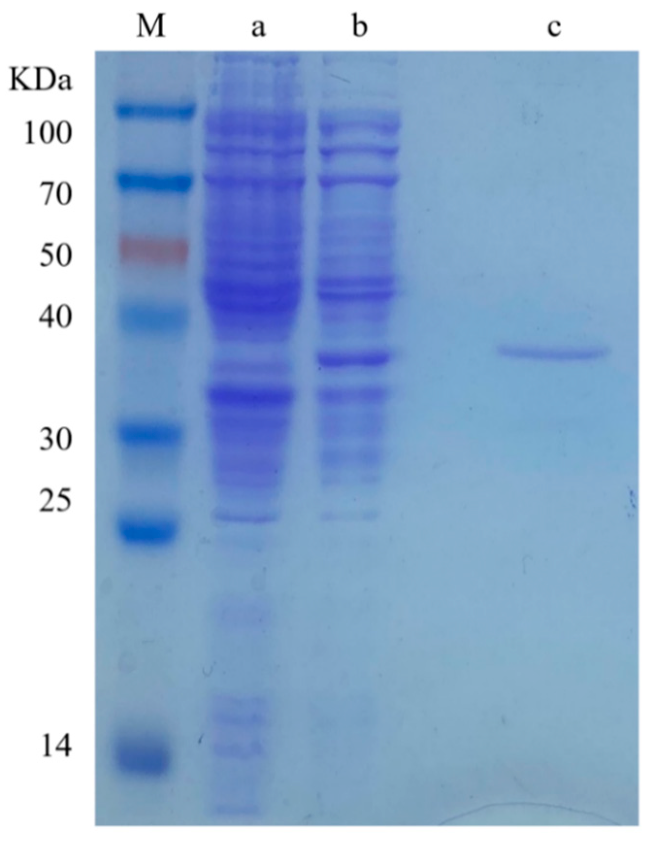 Forests 14 01379 g004