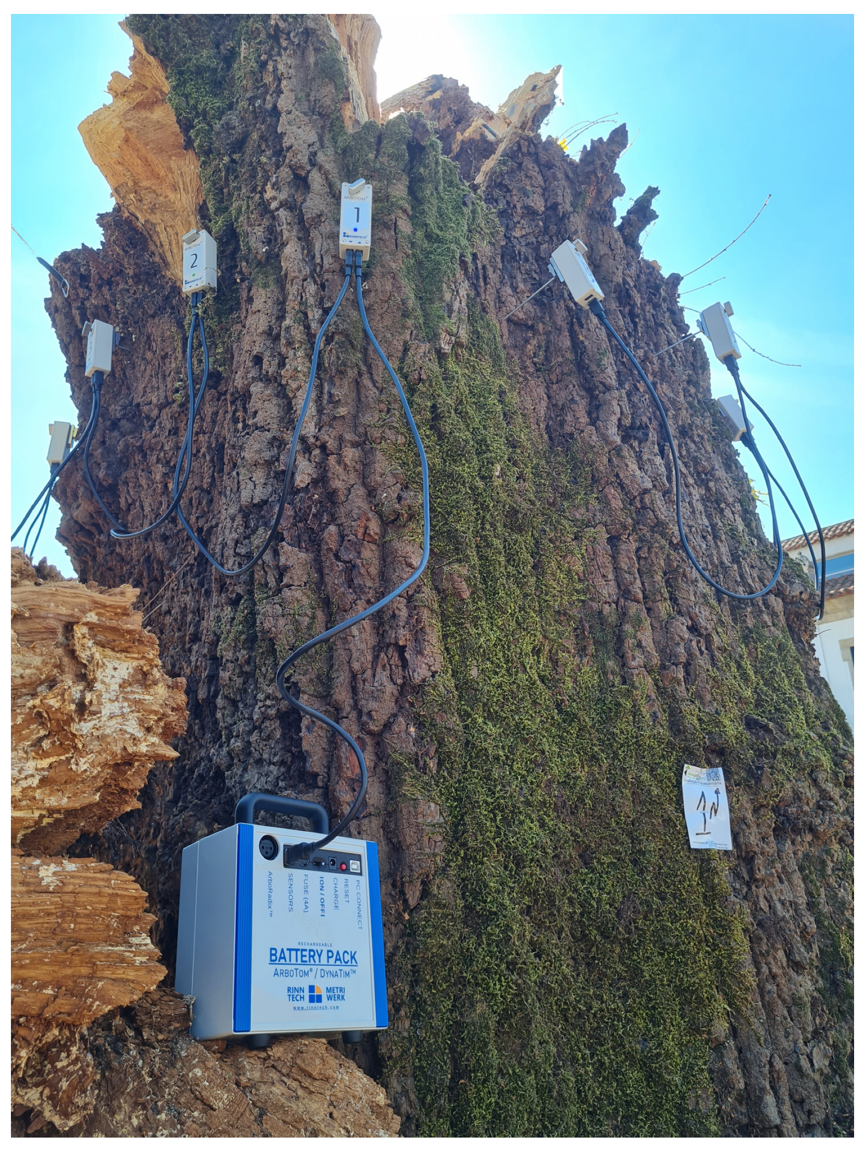 Forests 14 01398 g003