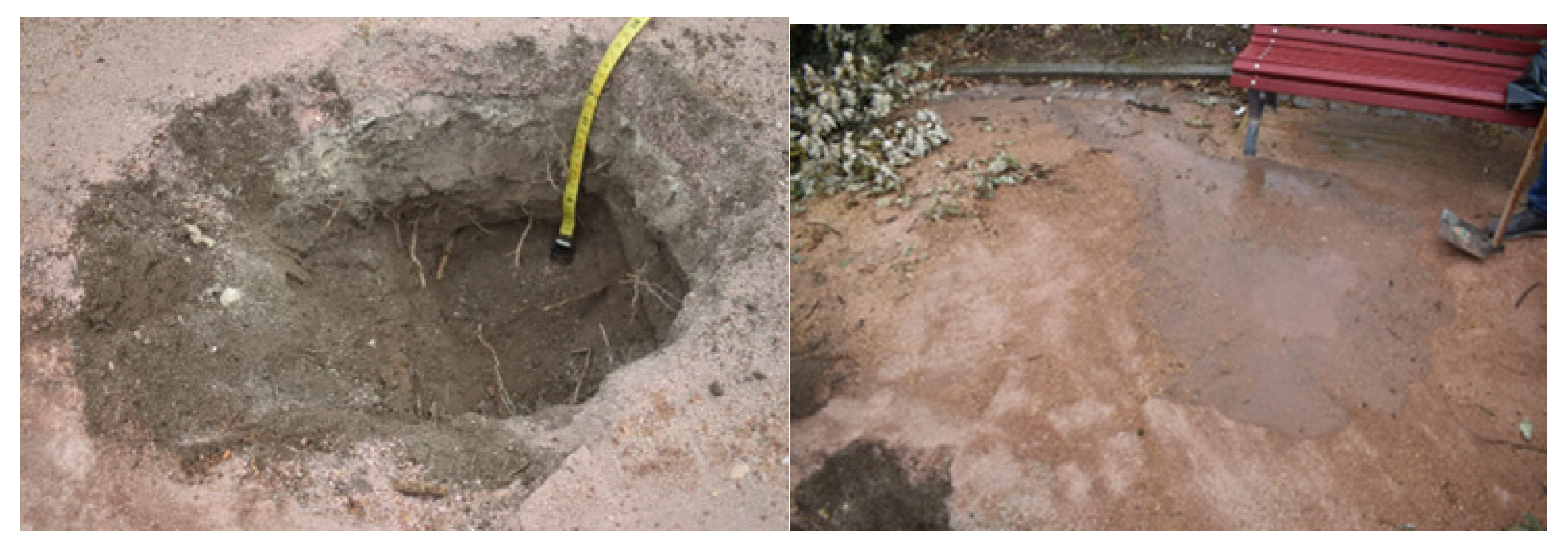 Forests 14 01398 g016