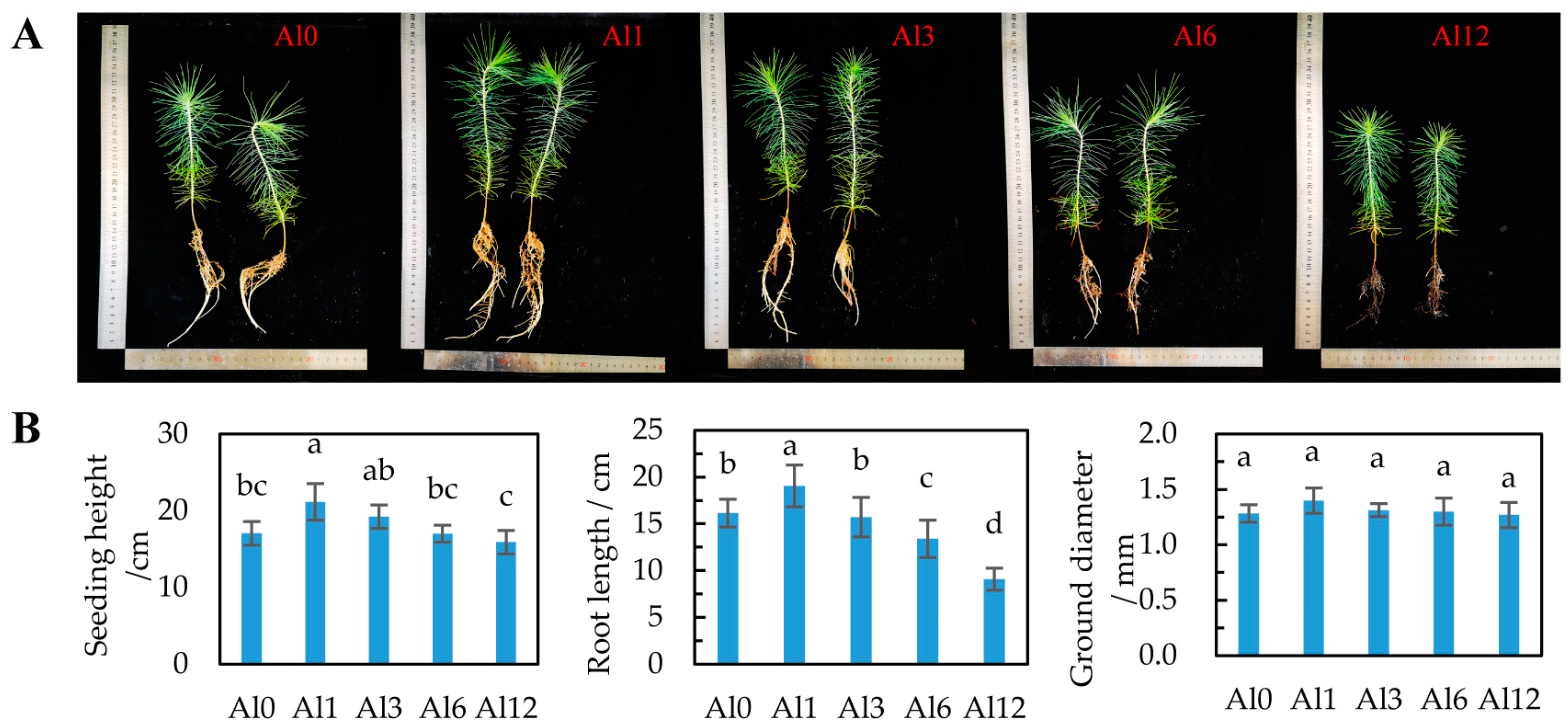 Forests 14 01410 g001