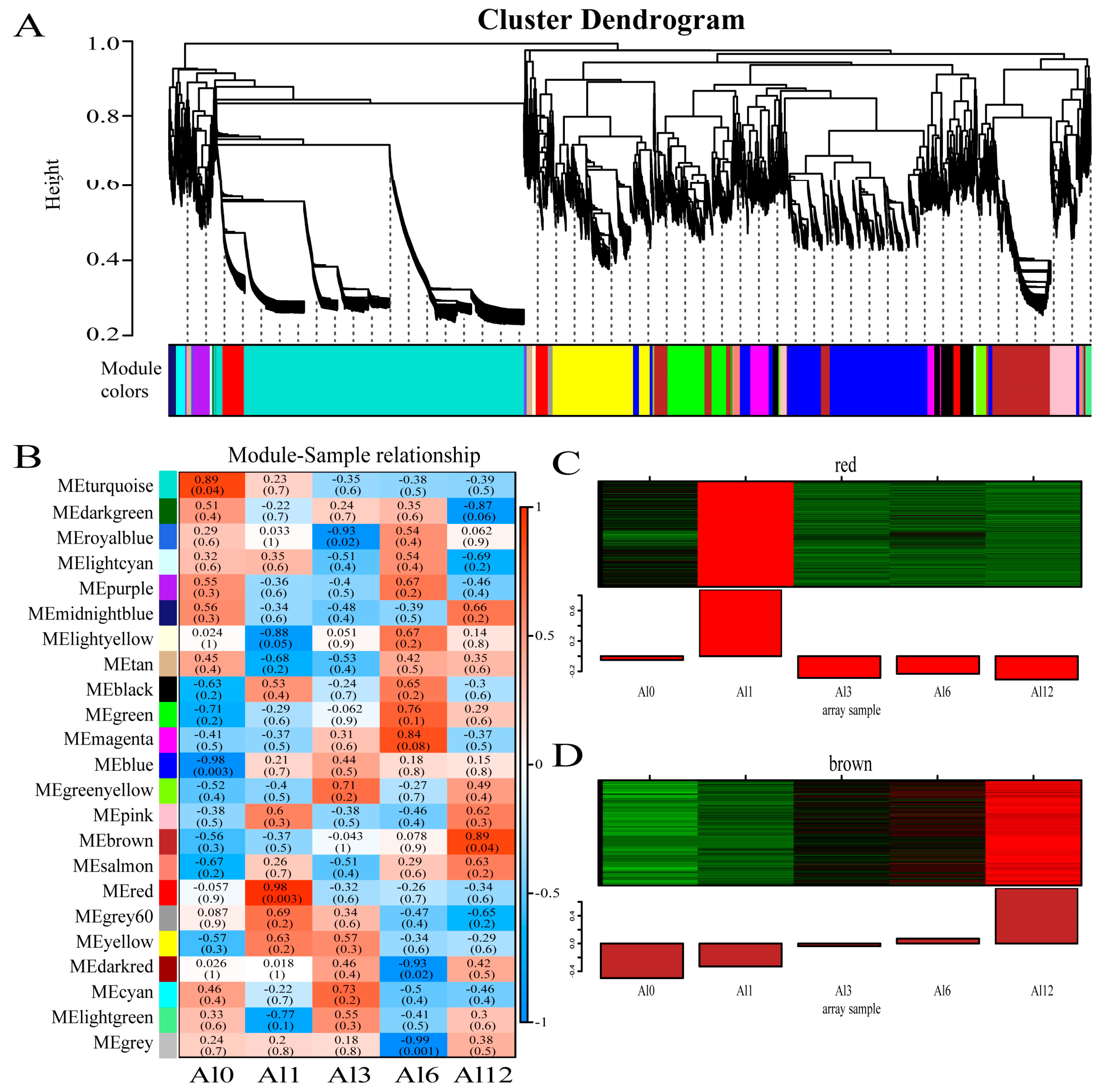 Forests 14 01410 g004