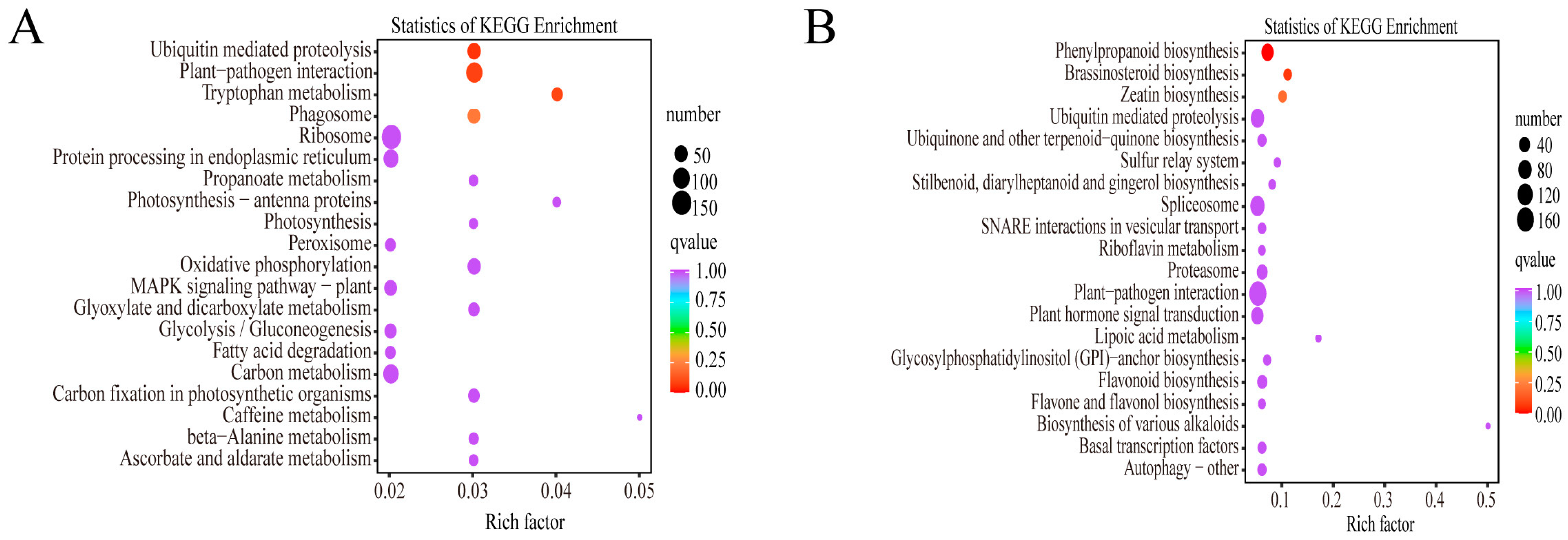 Forests 14 01410 g005