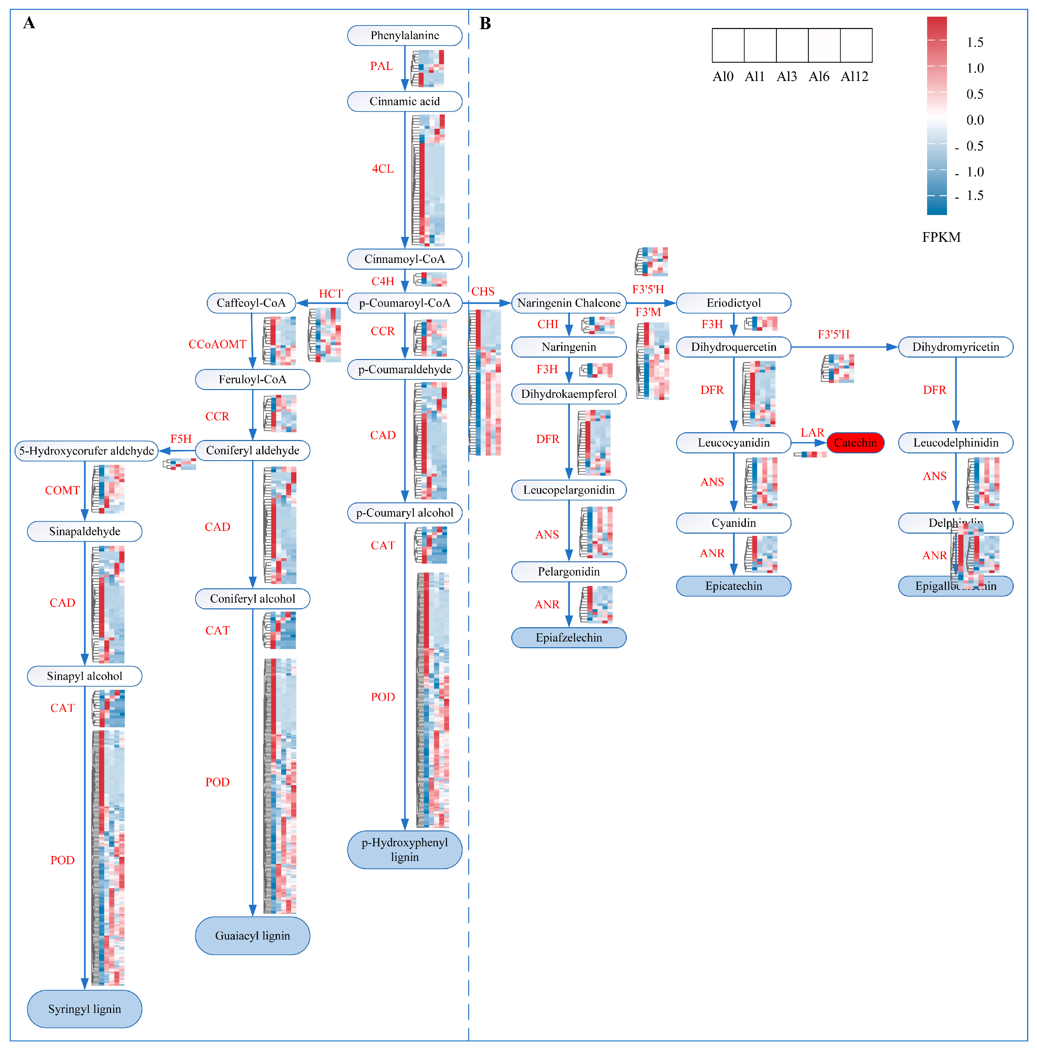 Forests 14 01410 g007