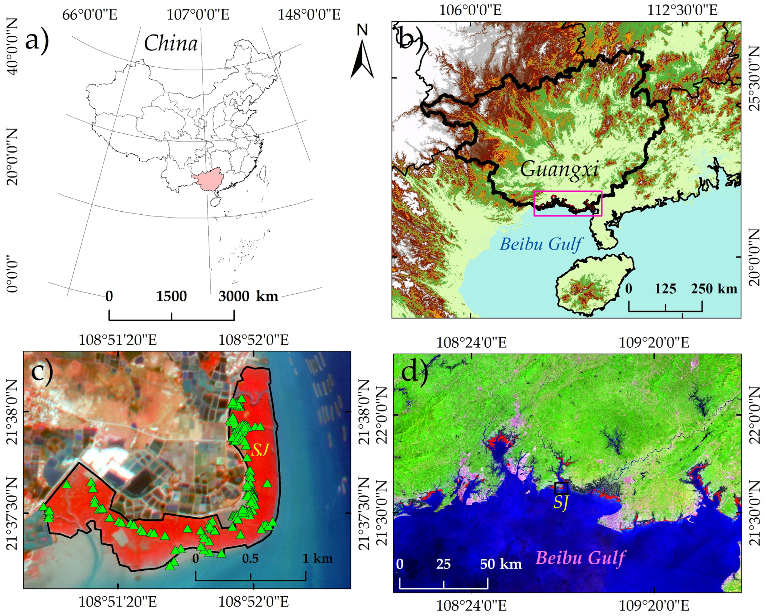 Forests | Free Full-Text | Estimation of Species-Scale Canopy Chlorophyll  Content in Mangroves from UAV and GF-6 Data