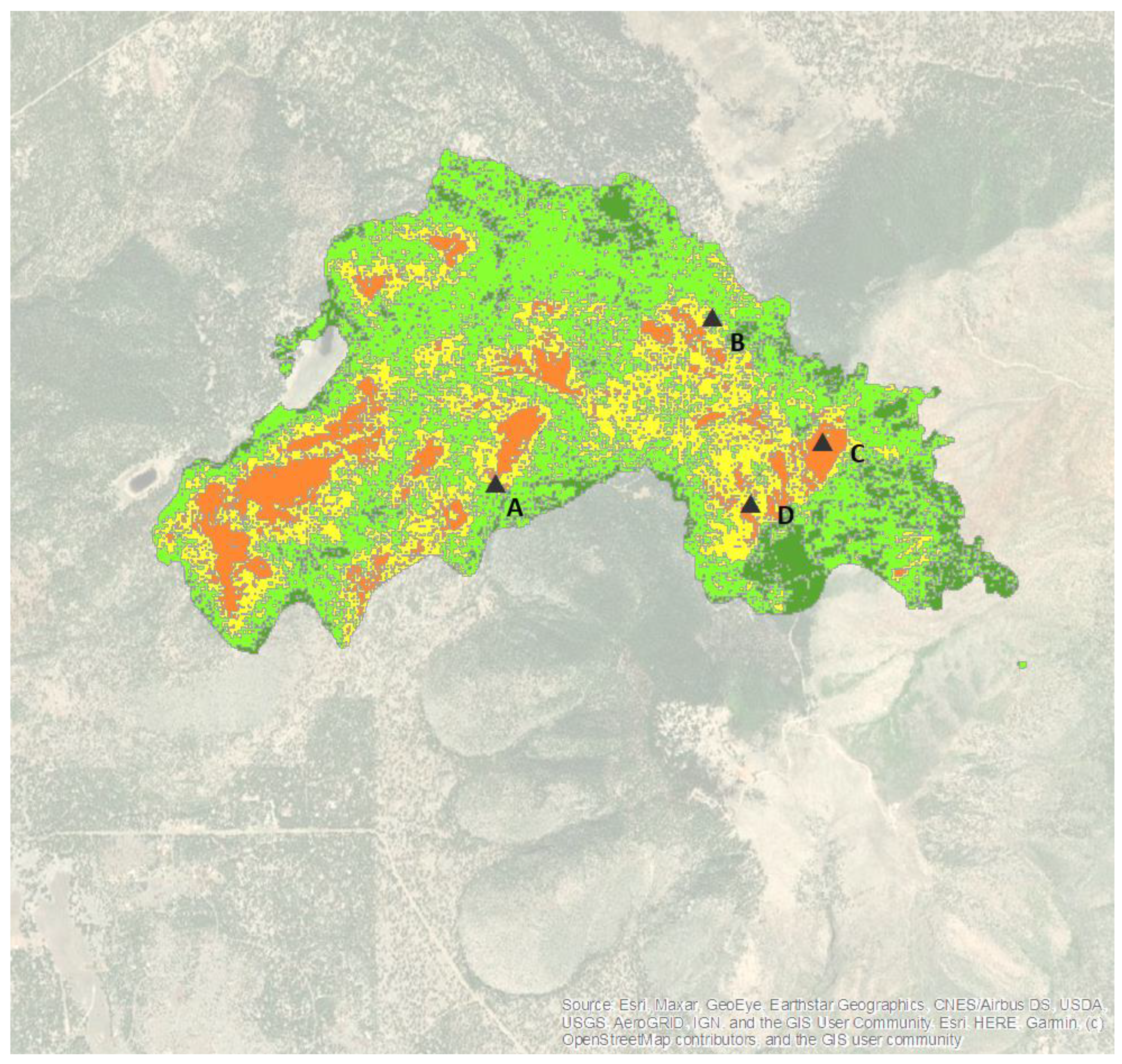 Ground Stakes — Atlas Preservation