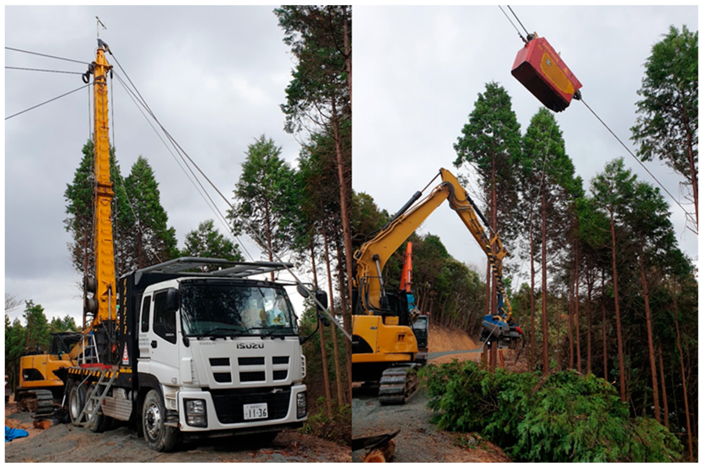 Forests 14 01430 g008 Forests 14 01430 g008