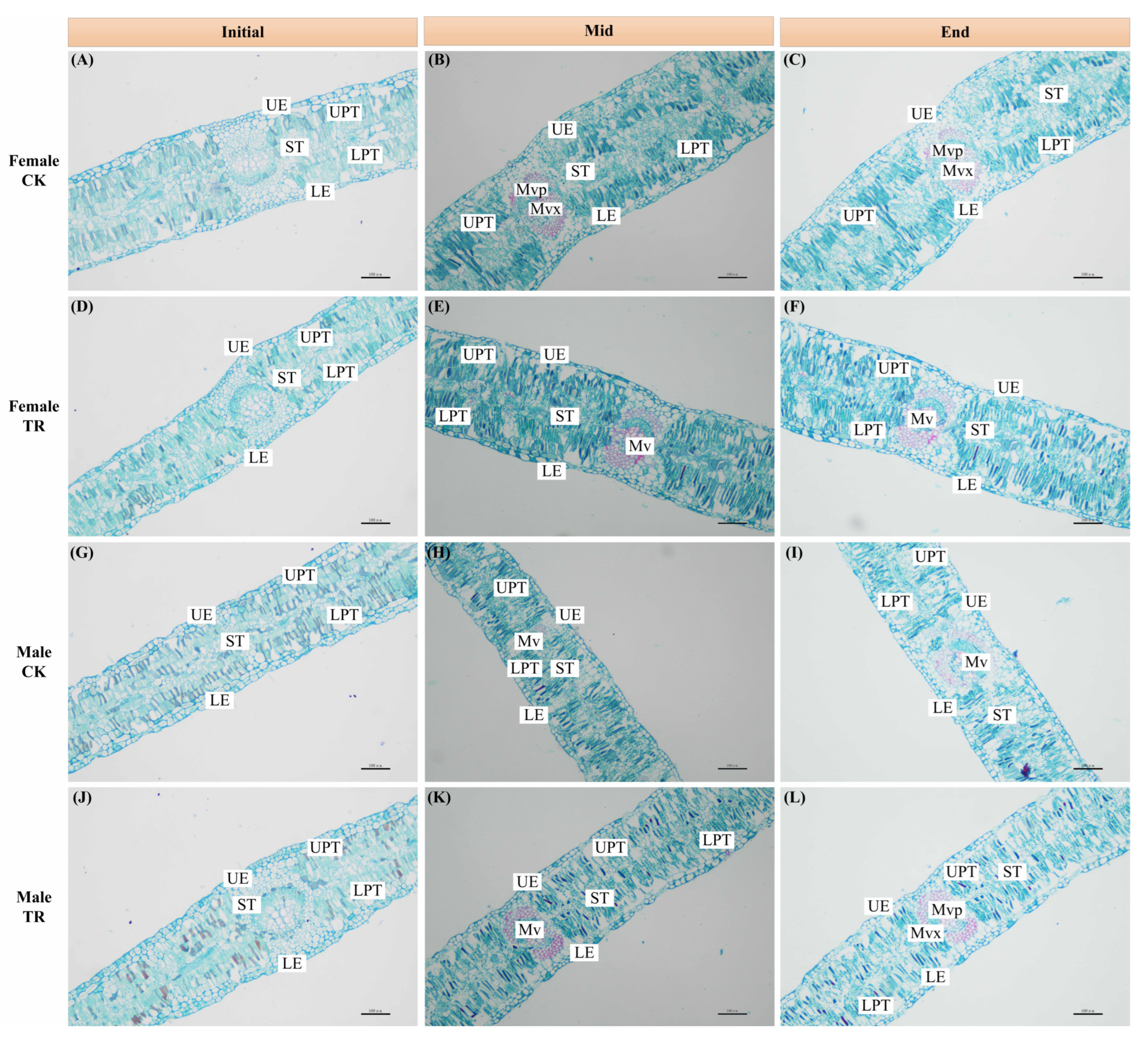 Forests 14 01444 g003