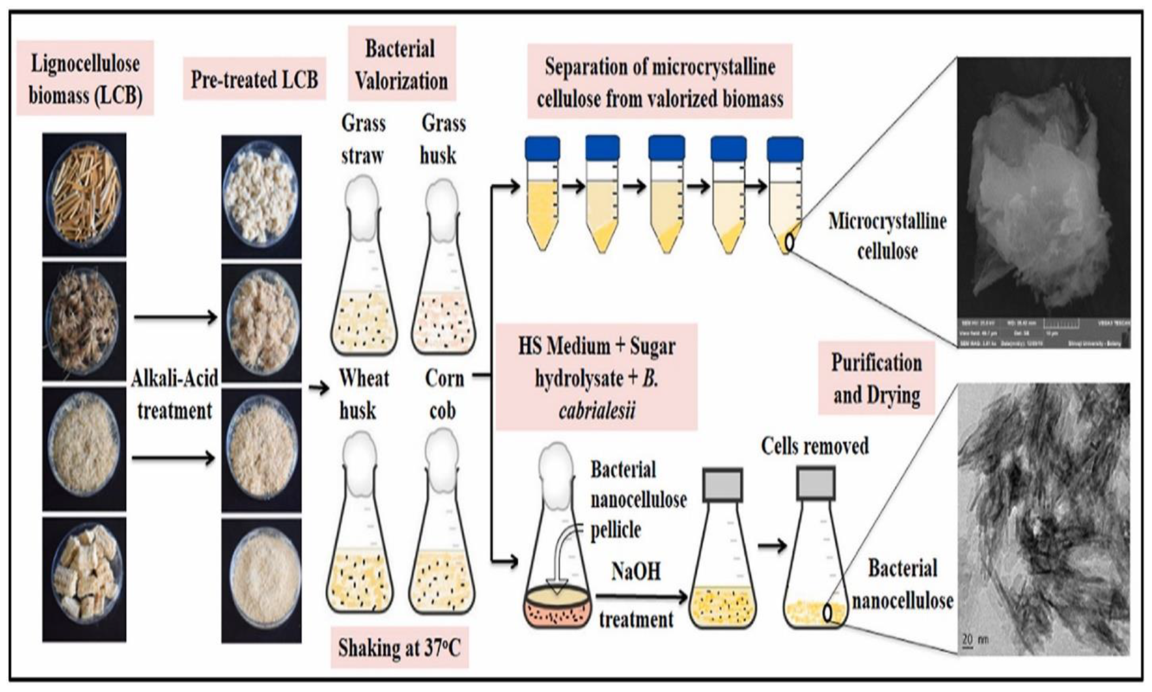 Forests 14 01457 g003 Forests 14 01457 g003