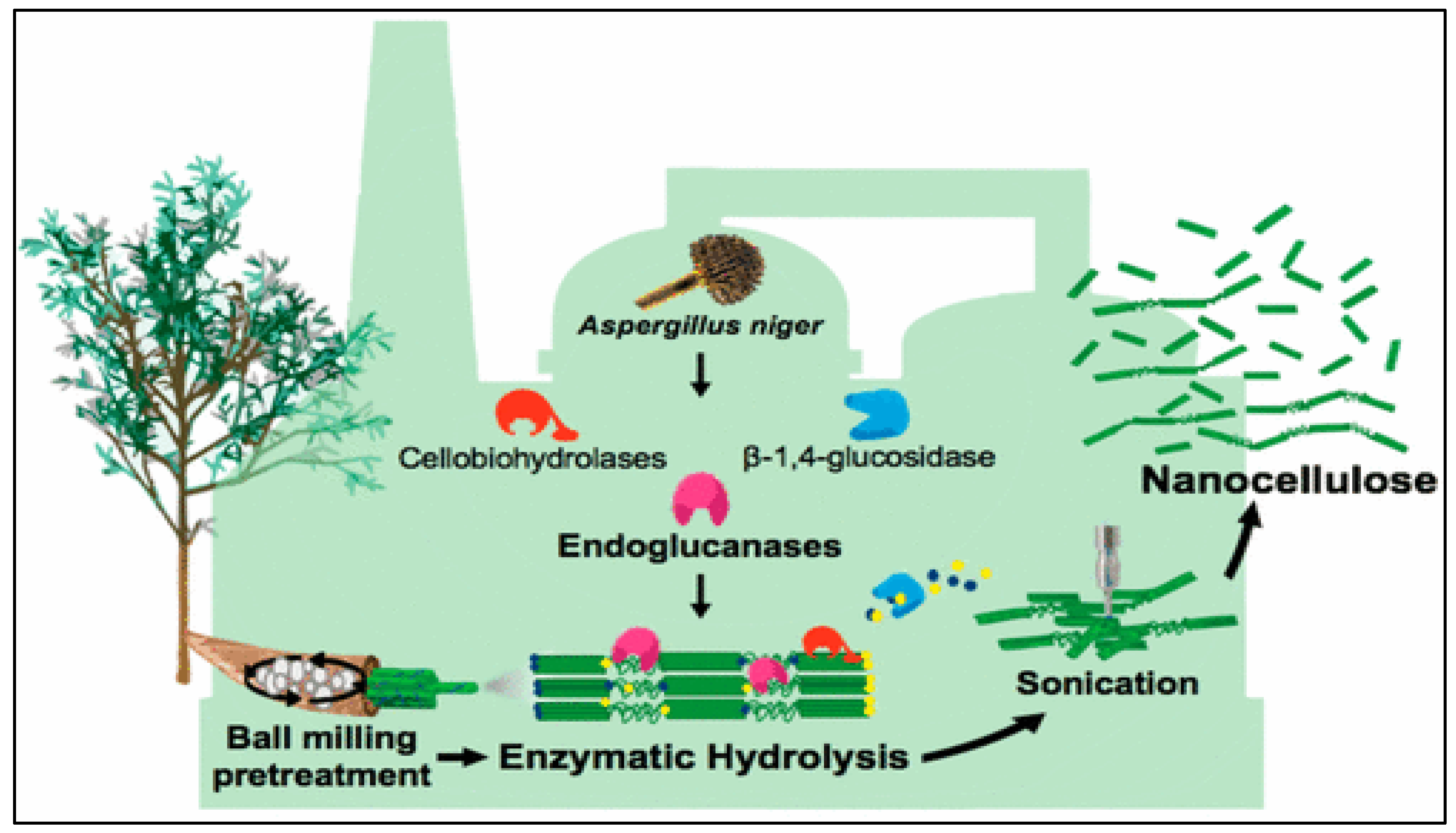 Forests 14 01457 g004 Forests 14 01457 g004