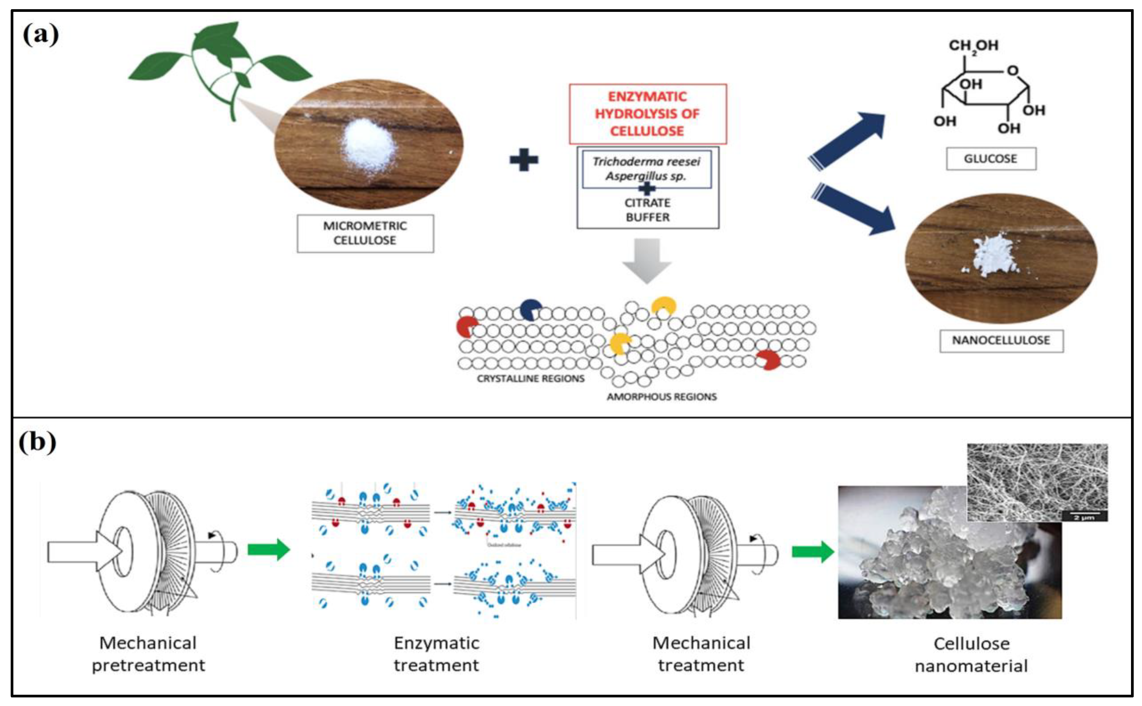 Forests 14 01457 g006 Forests 14 01457 g006