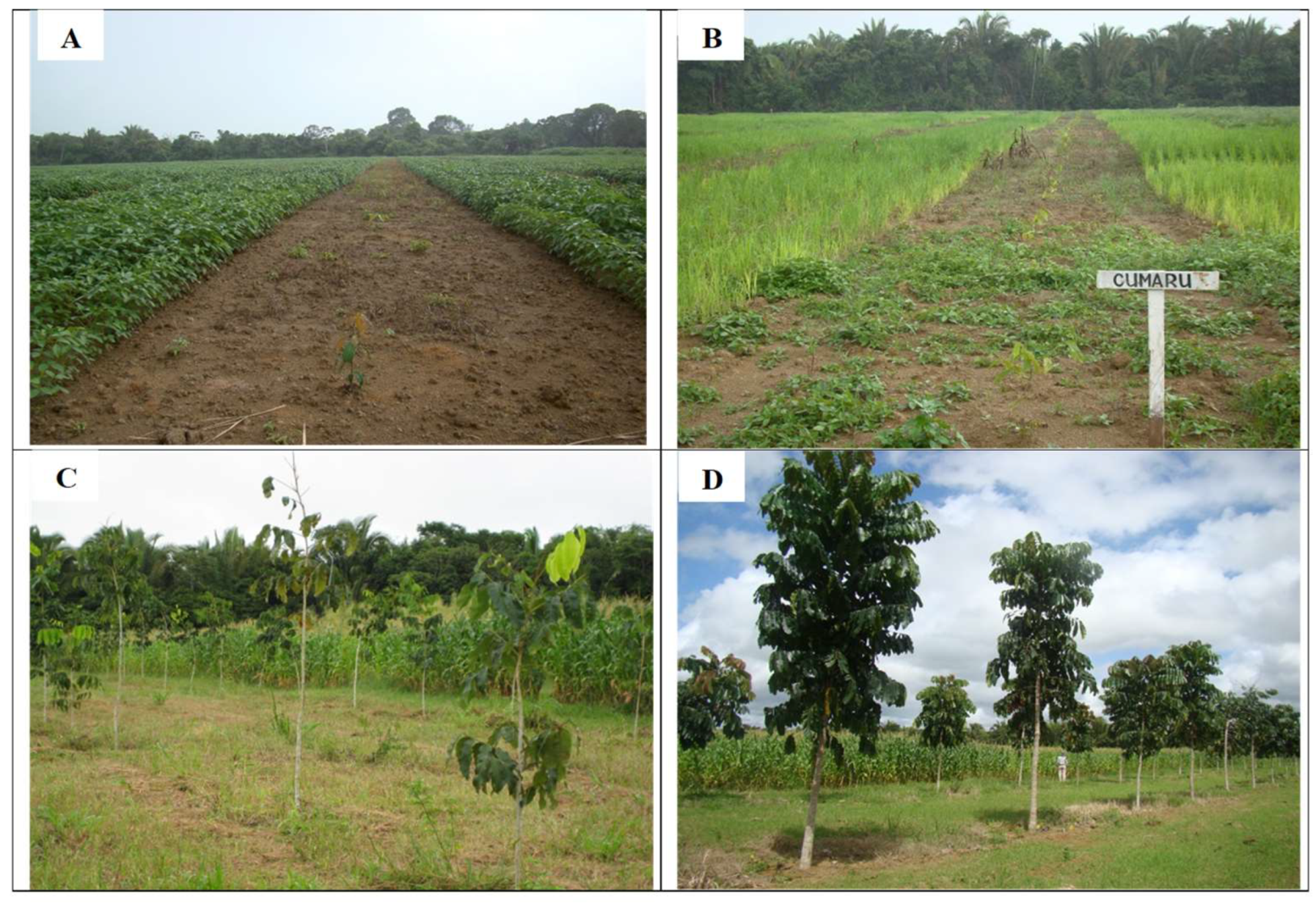 Forests 14 01463 g002