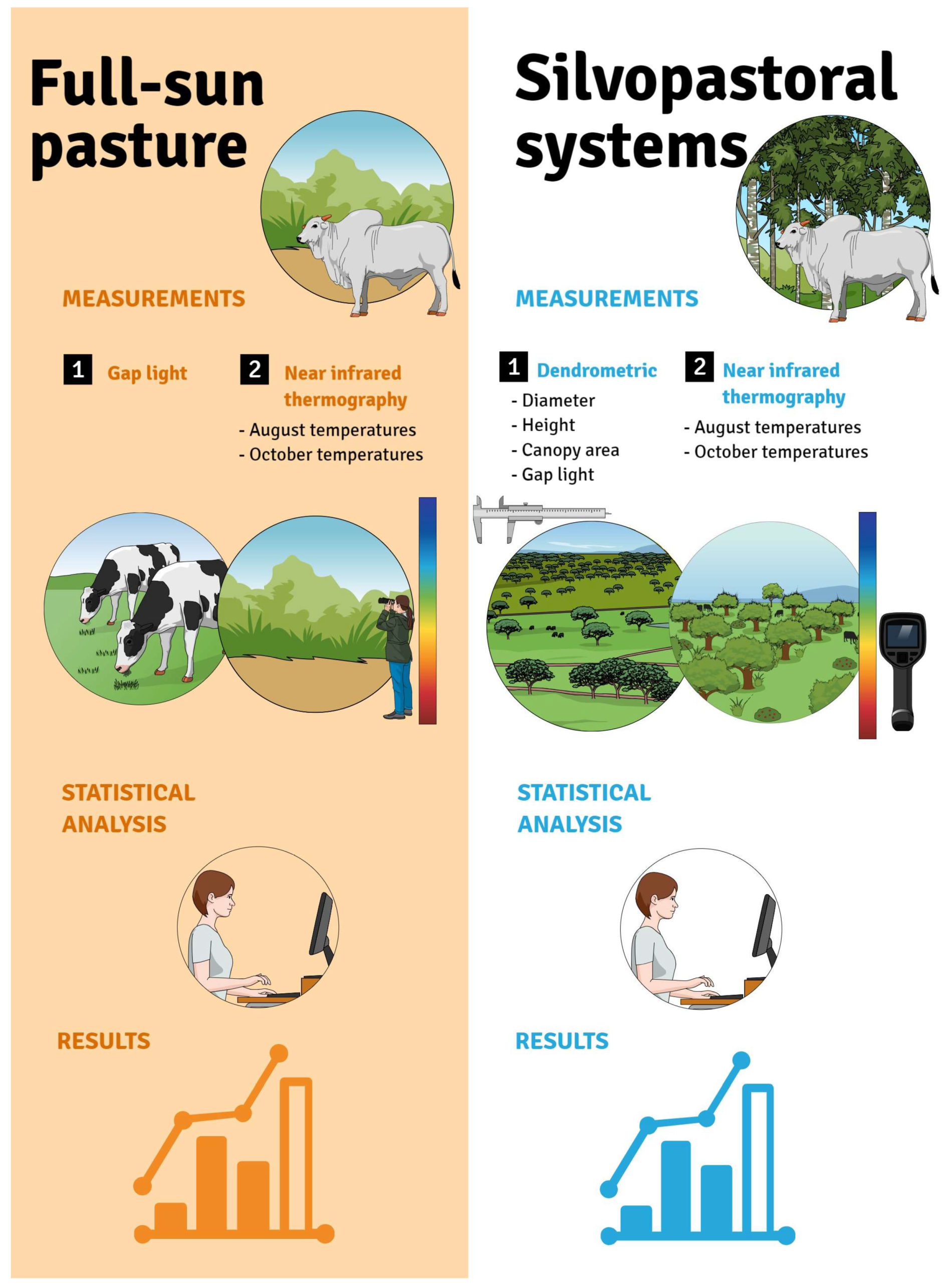 Forests 14 01463 g003