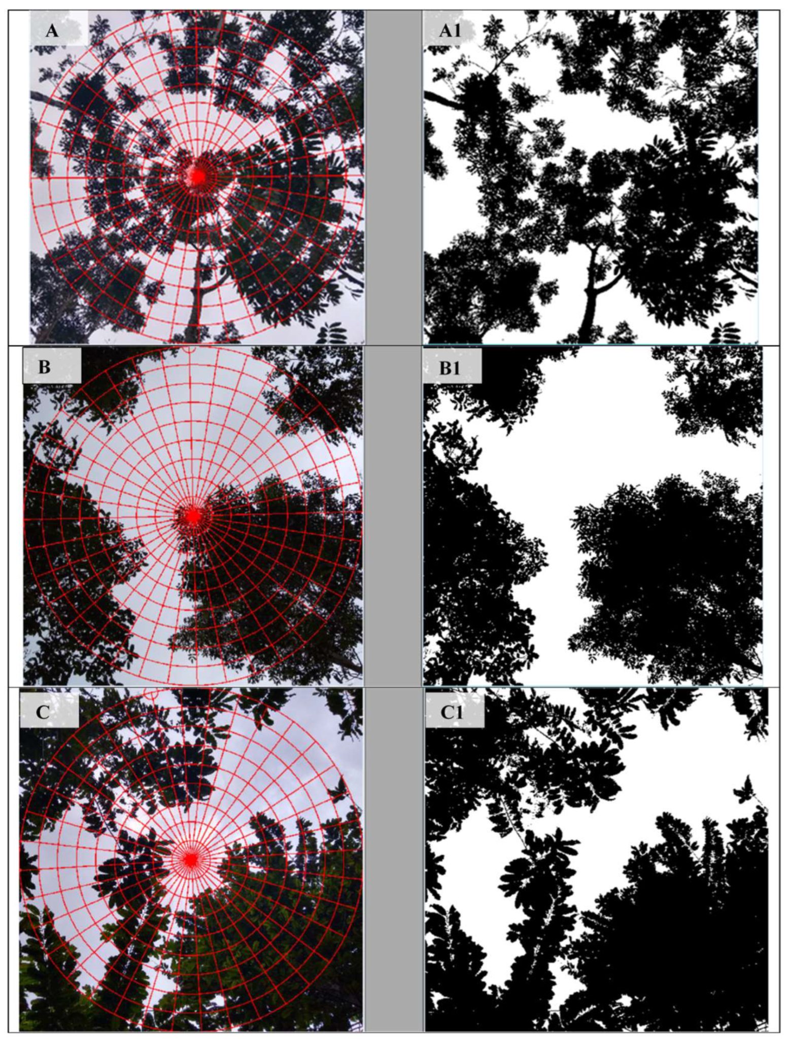 Forests 14 01463 g004