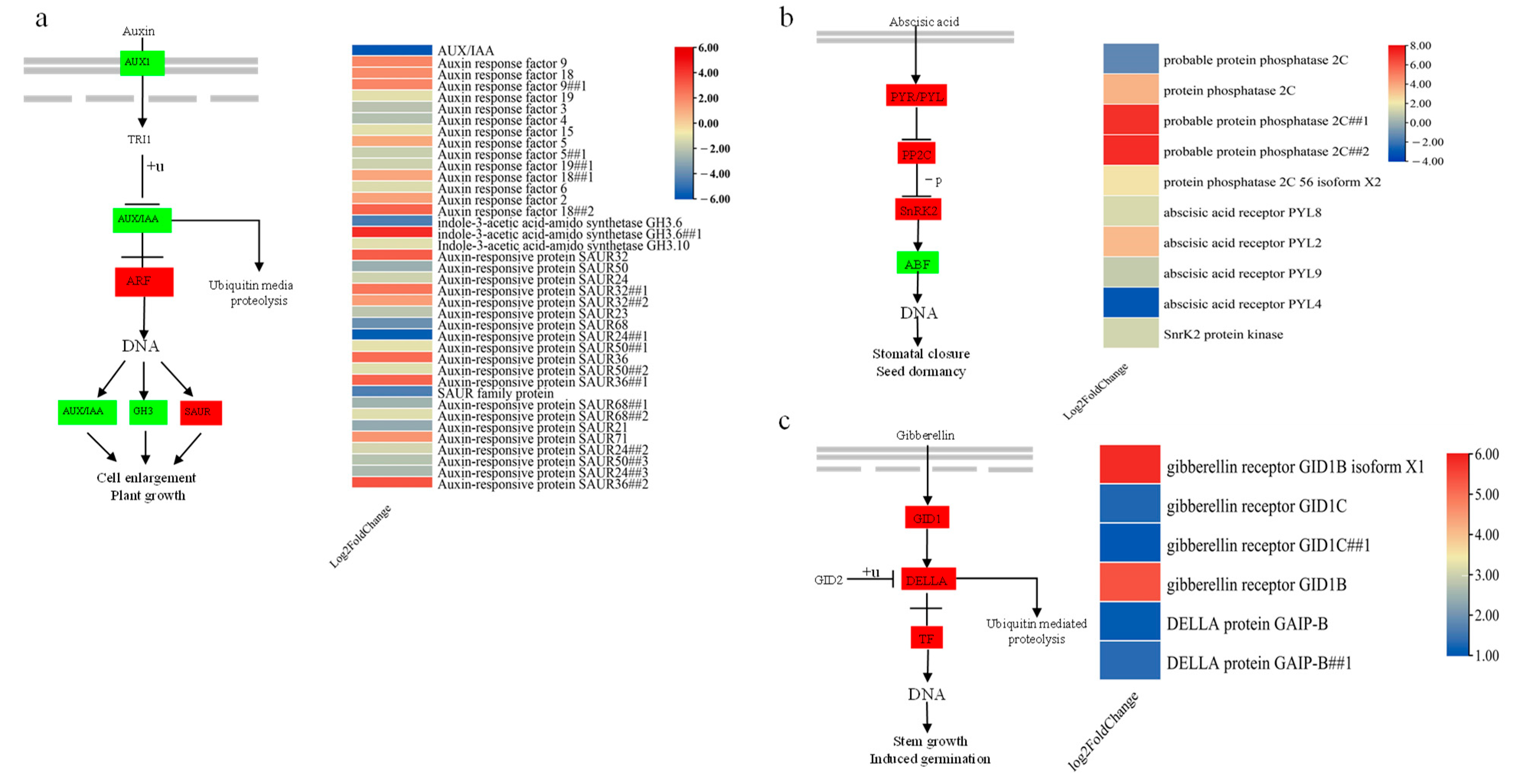 Forests 14 01465 g006 Forests 14 01465 g006