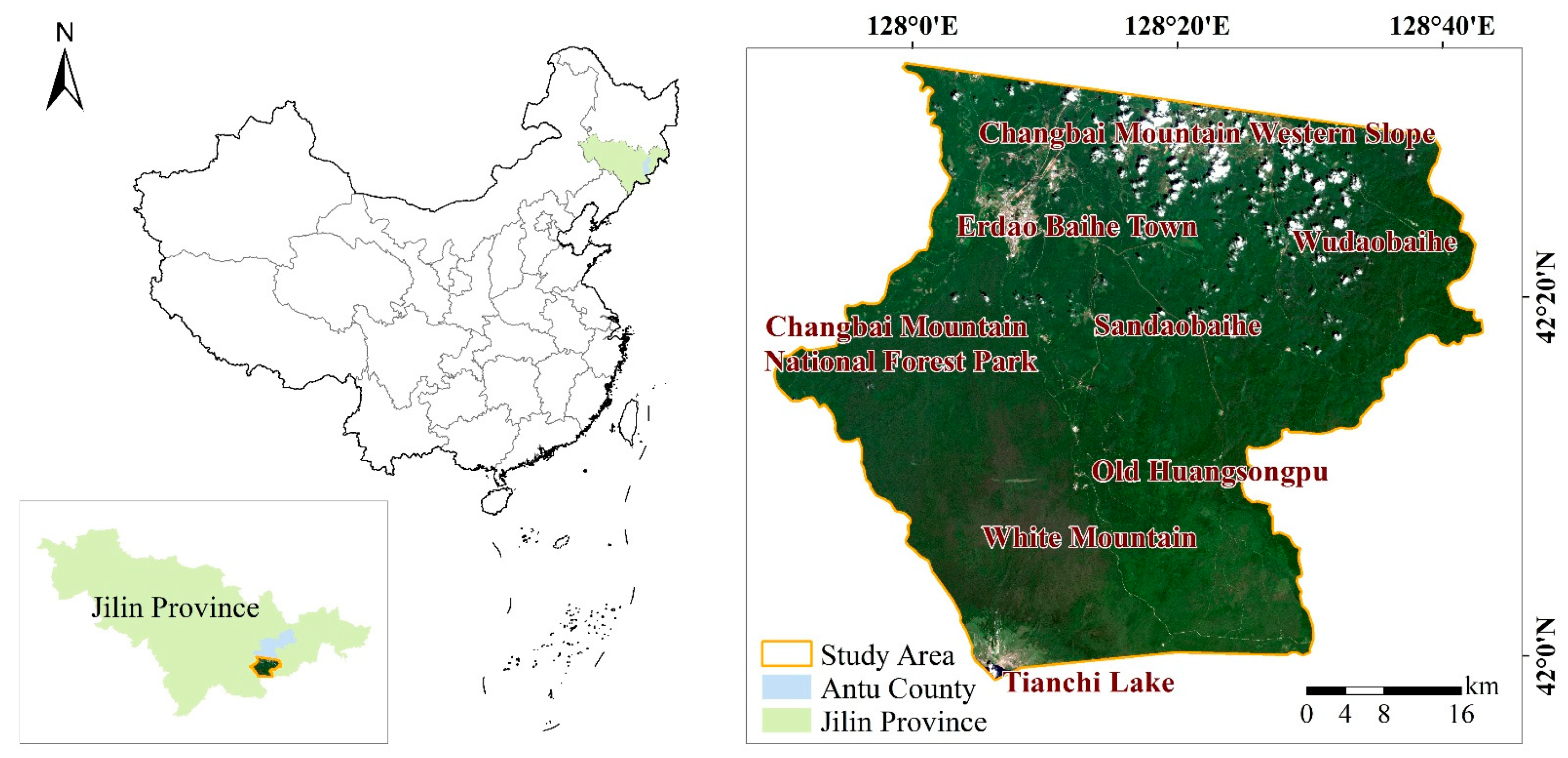 Forests 14 01466 g001 Forests 14 01466 g001