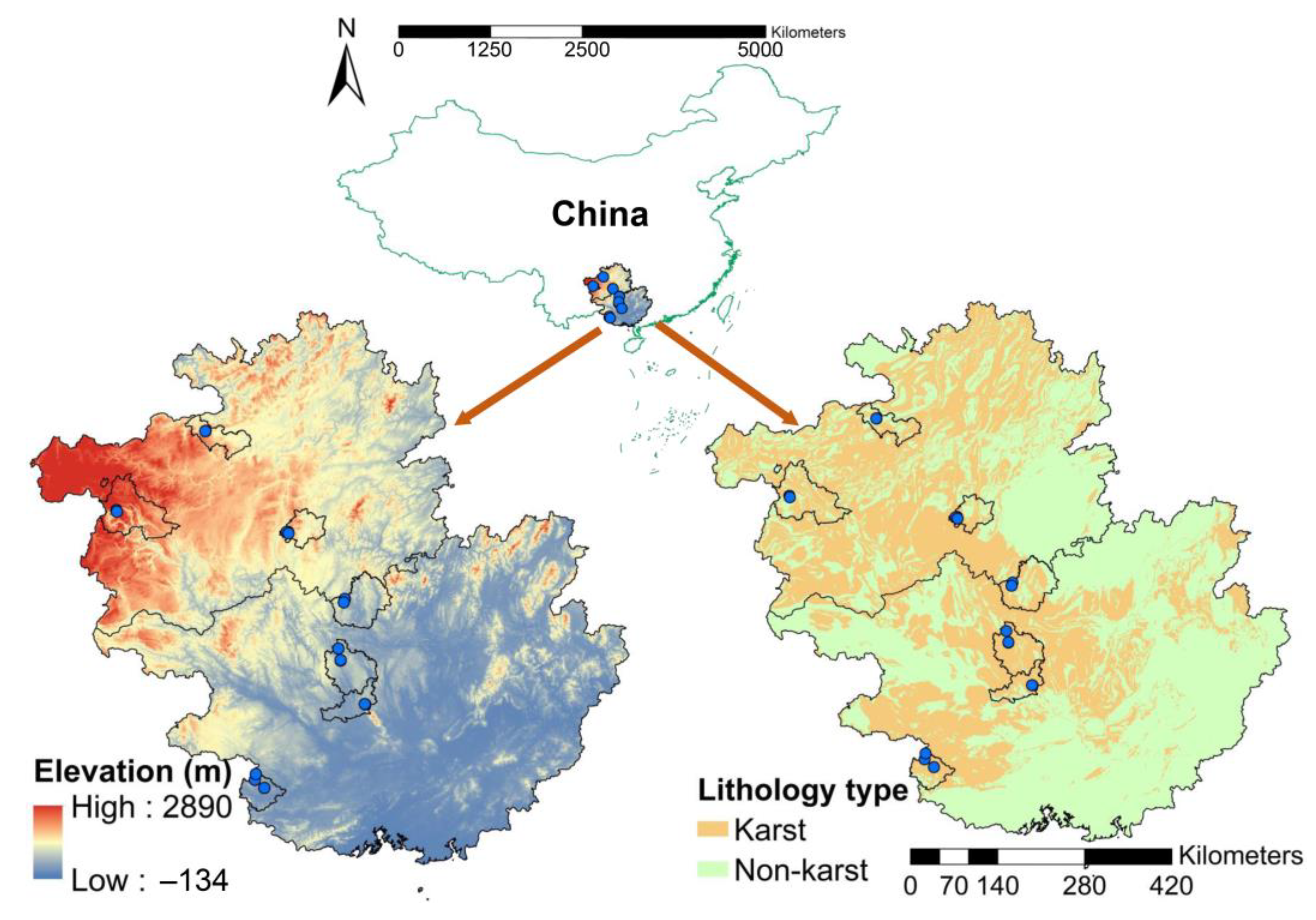 Forests 14 01467 g001