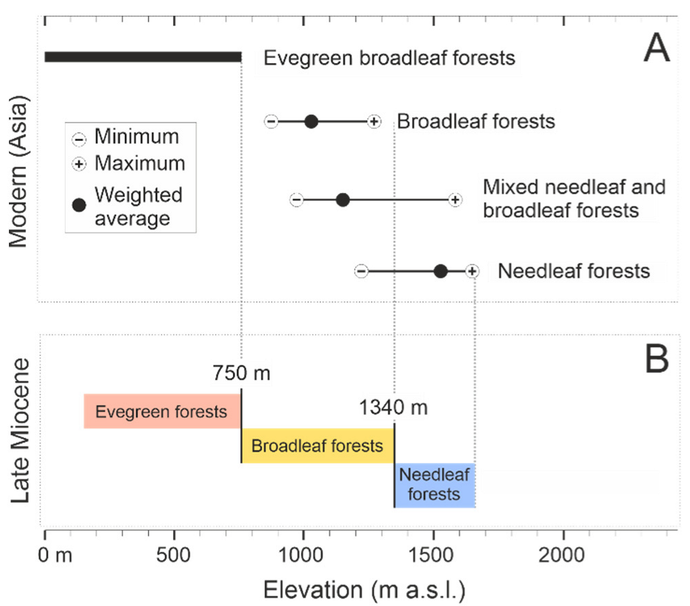 Forests 14 01471 g003