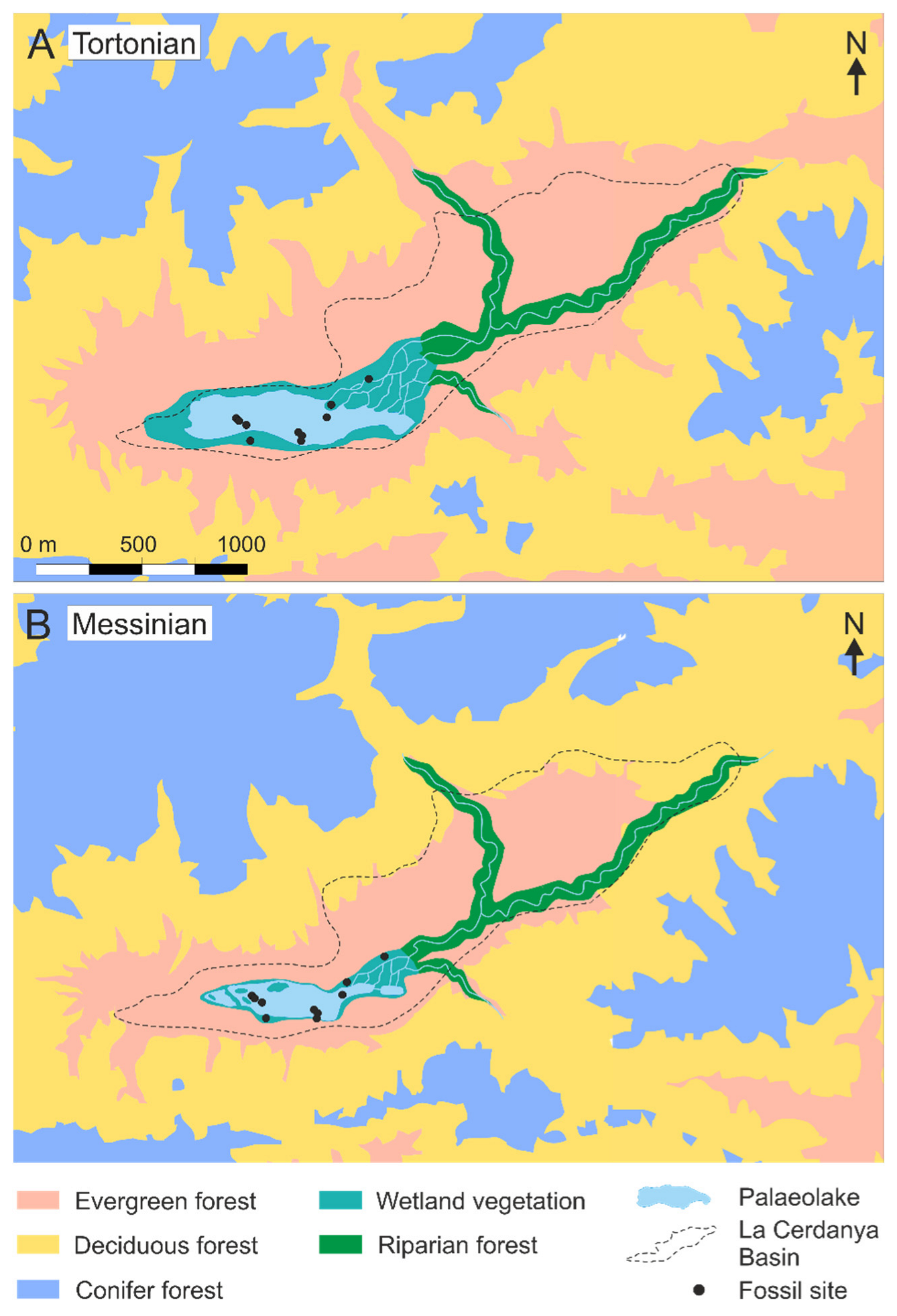 Forests 14 01471 g006