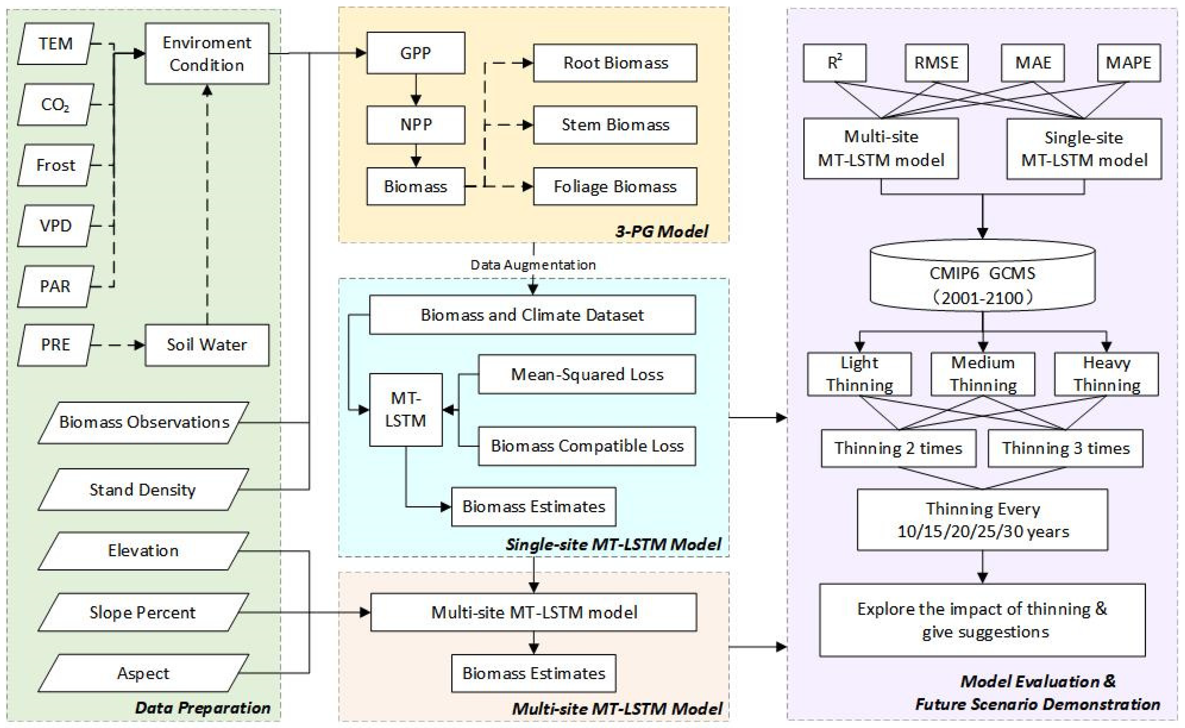 Forests 14 01482 g001 Forests 14 01482 g001