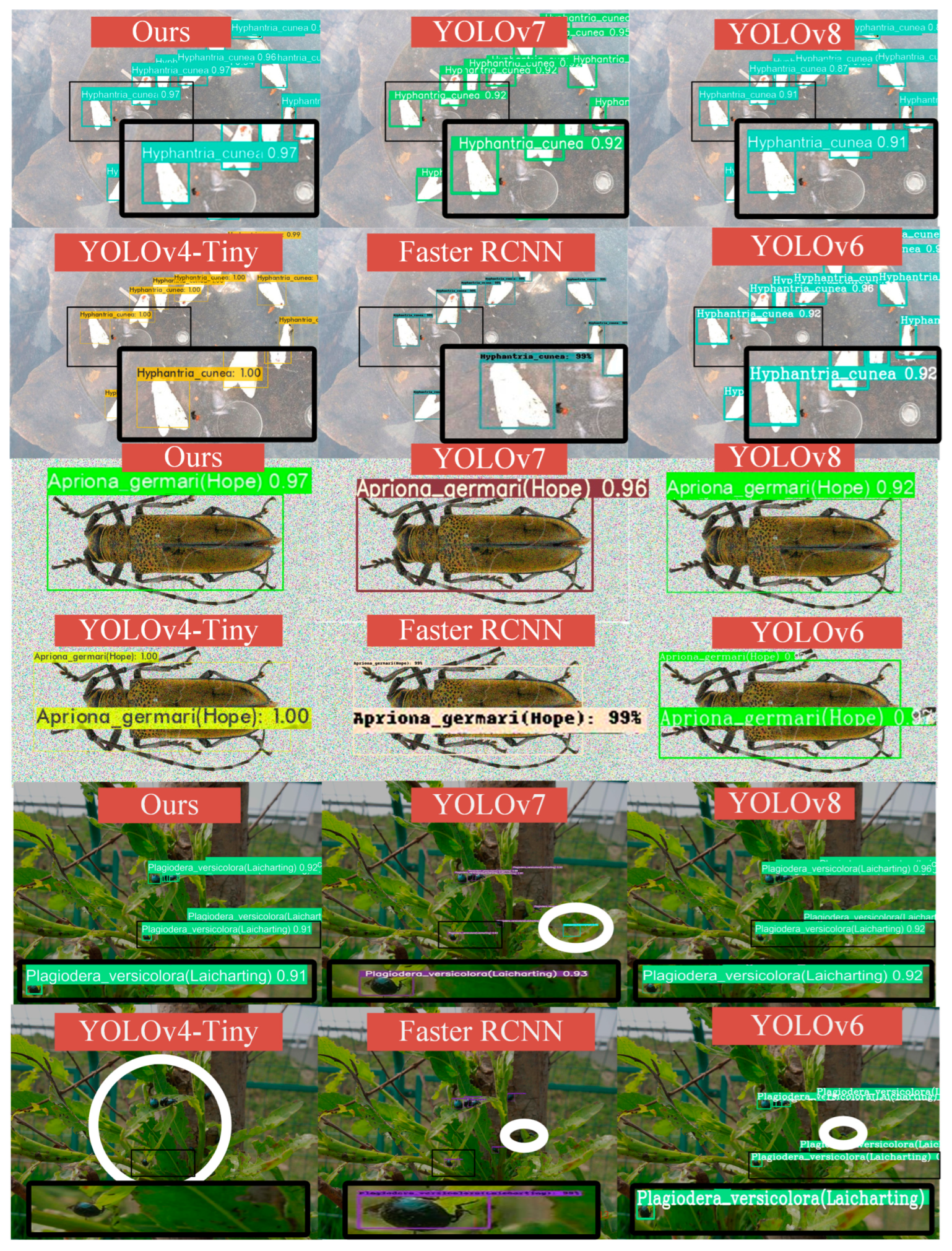 Forests 14 01484 g011 Forests 14 01484 g011