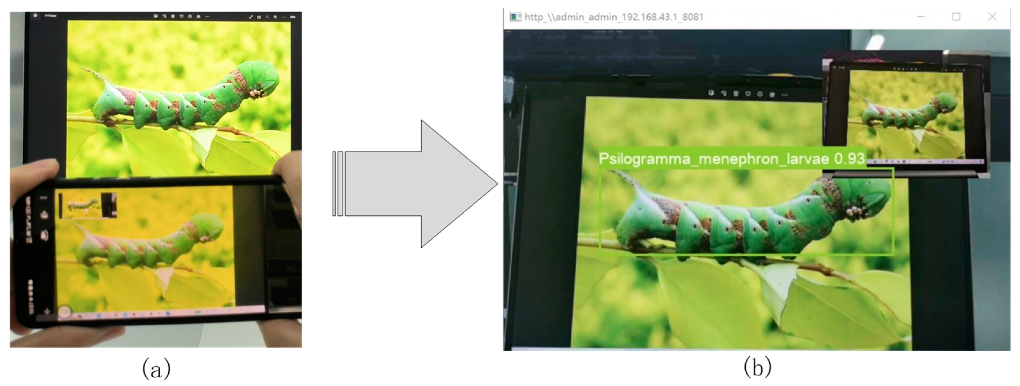 Forests 14 01484 g012 Forests 14 01484 g012