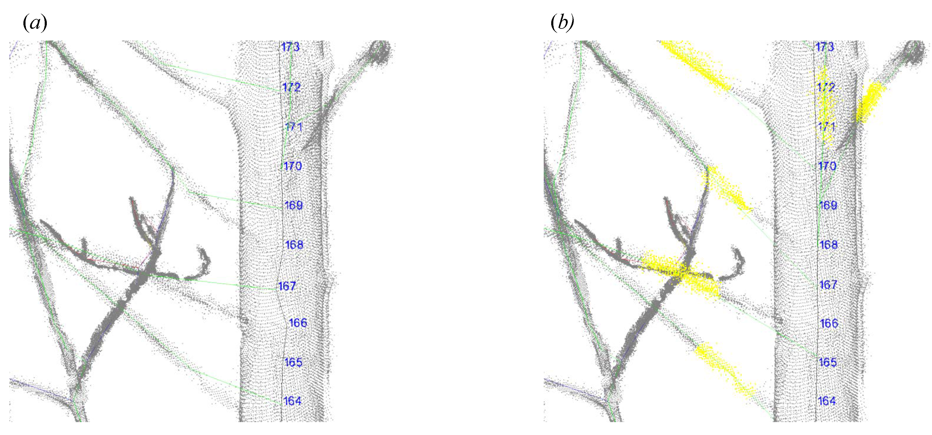 Forests 14 01525 g006