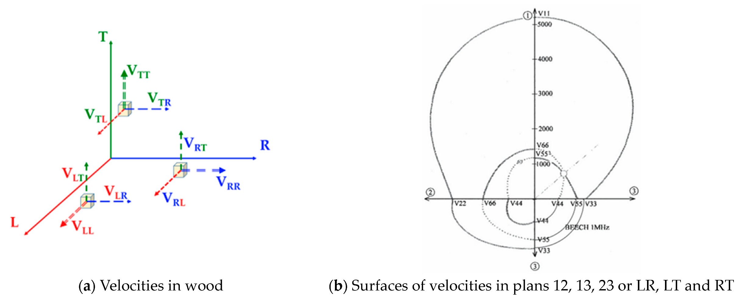Forests 14 01545 g005