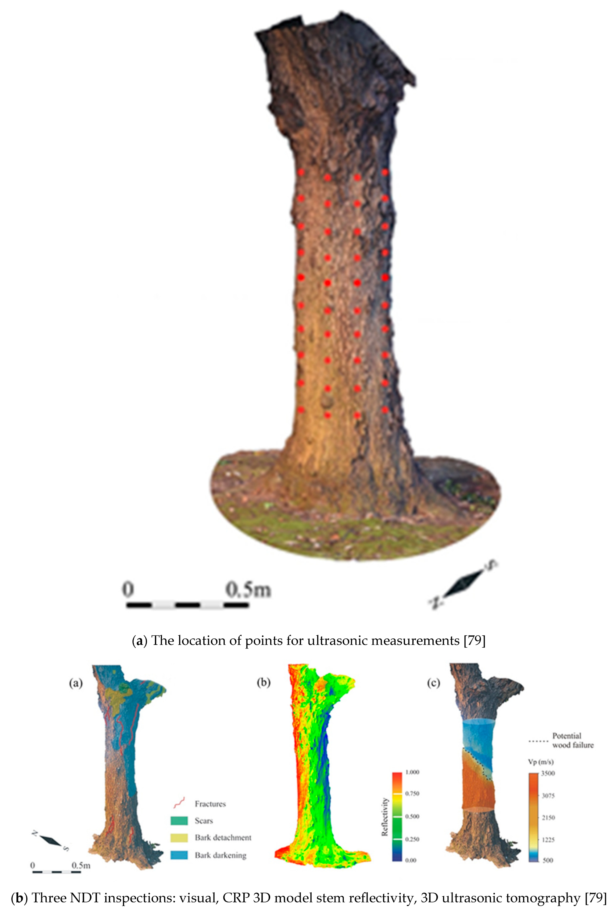 Forests 14 01545 g012a
