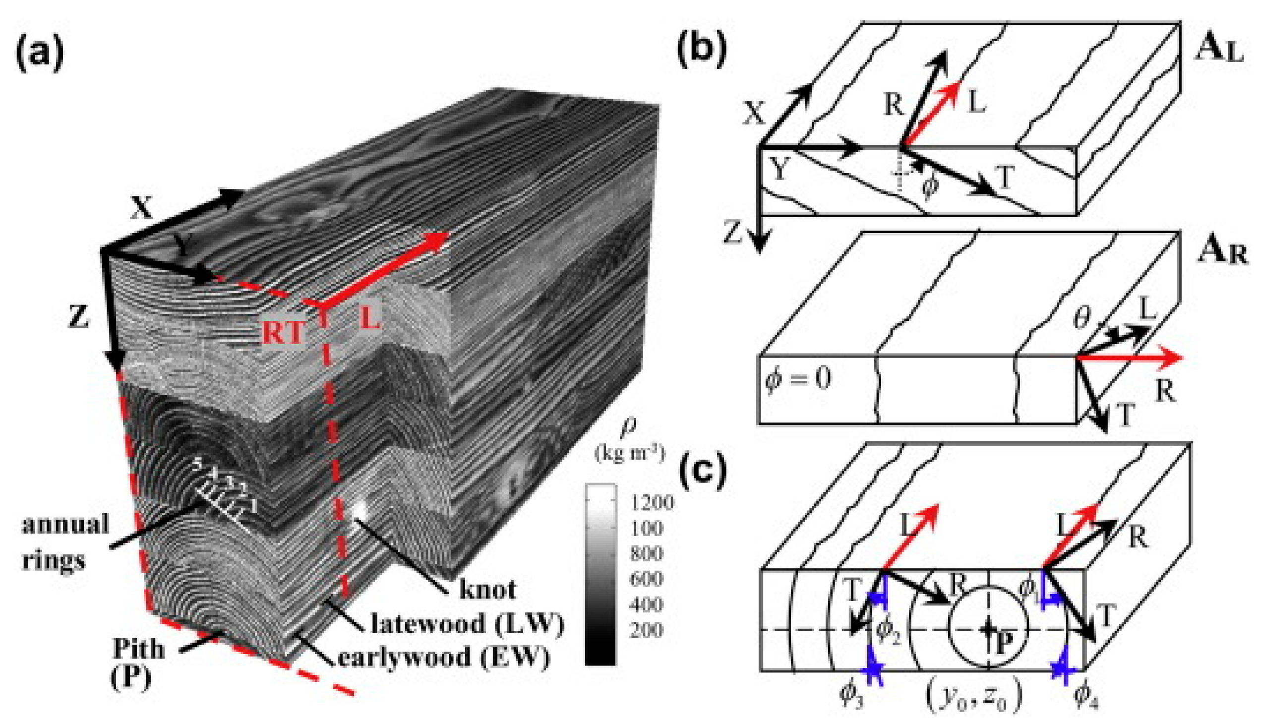 Forests 14 01545 g034